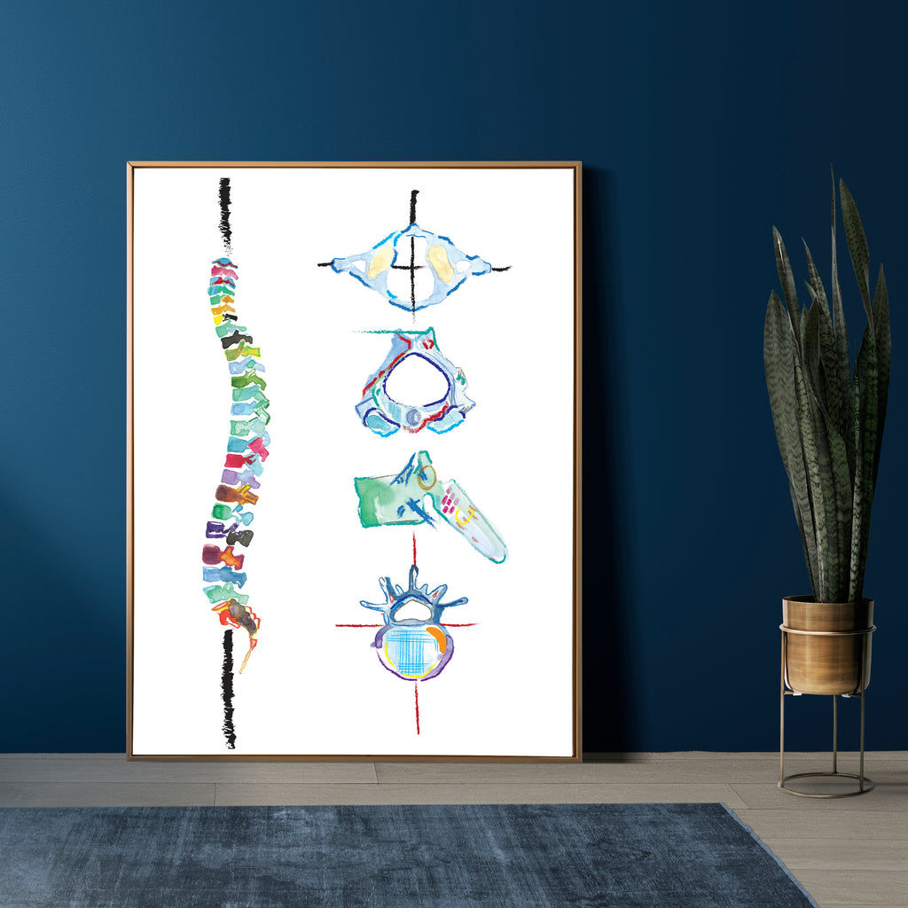 Wallpaper #WWdkEpMBSpphPi3-tvsO3 Spine and Vertebrae Abstract Anatomy Art Print Medpapers