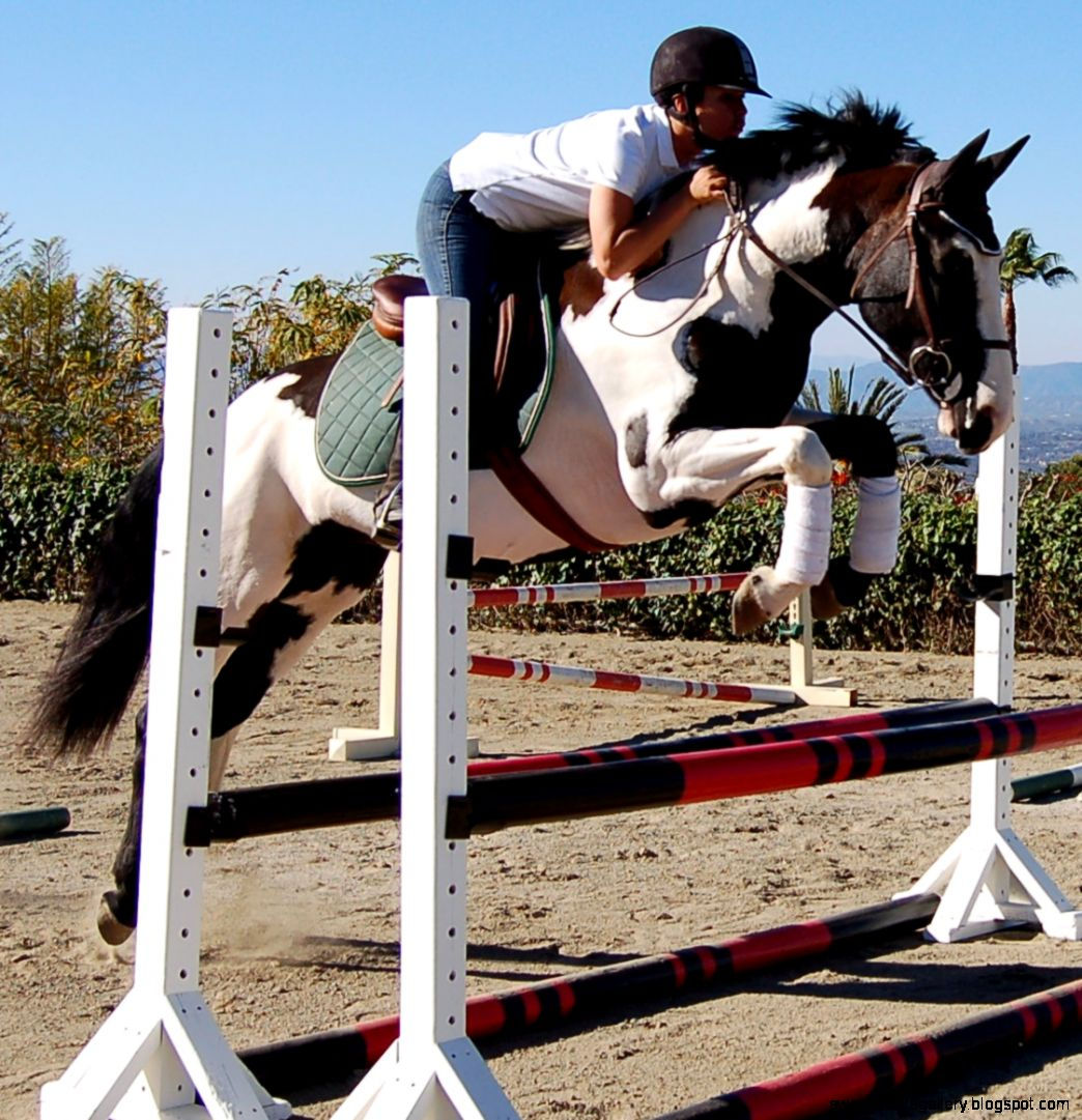 Wallpaper #Gx2aLJMBlOZrFDOk68sw225 Paint Horse Jumping Wallpapers Gallery