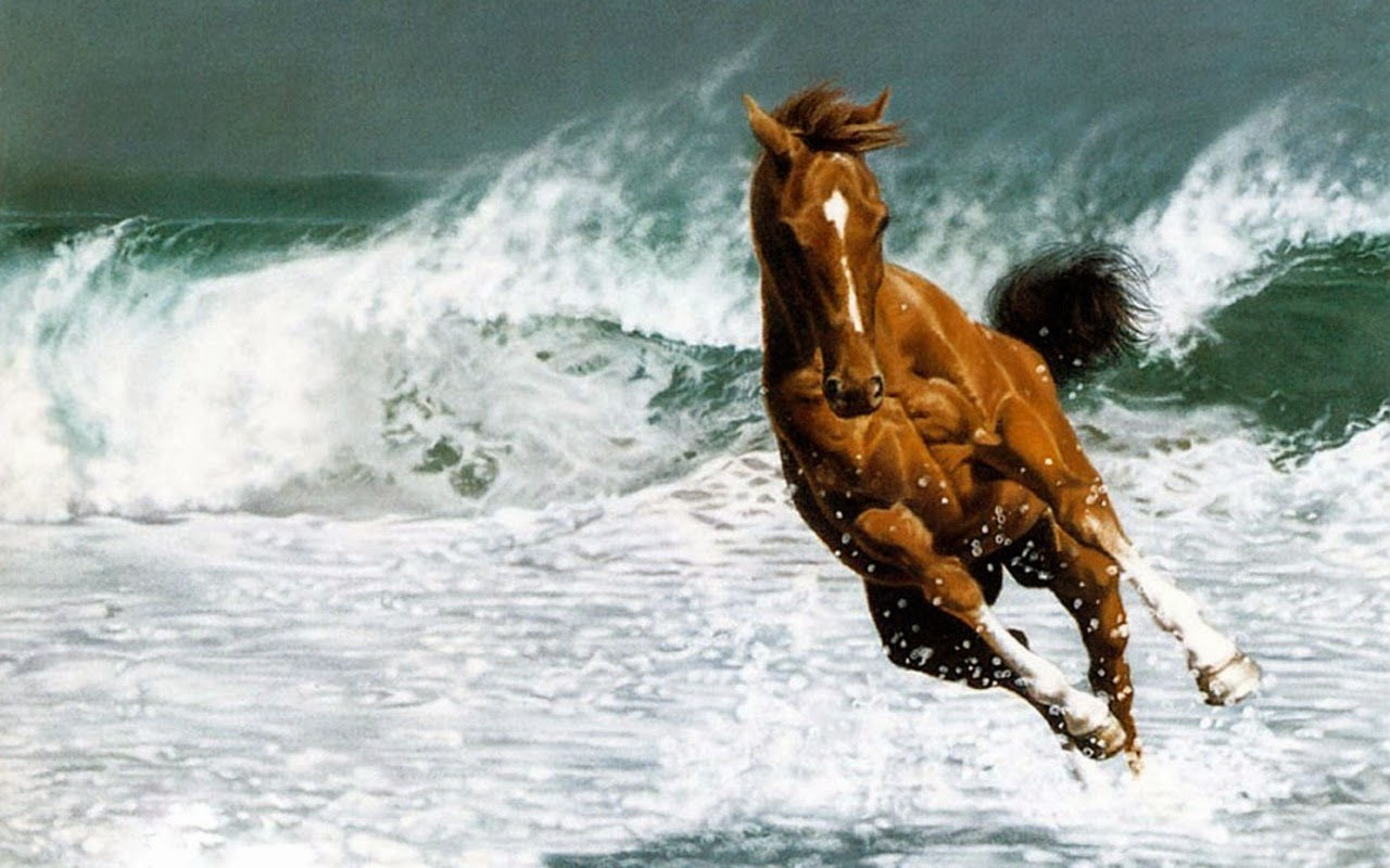 Wallpaper #th2FLJMBlOZrFDOkscqQ360 HD Wallpapers Desktop Horse Free Beautiful Desktop Wallpapers 2014