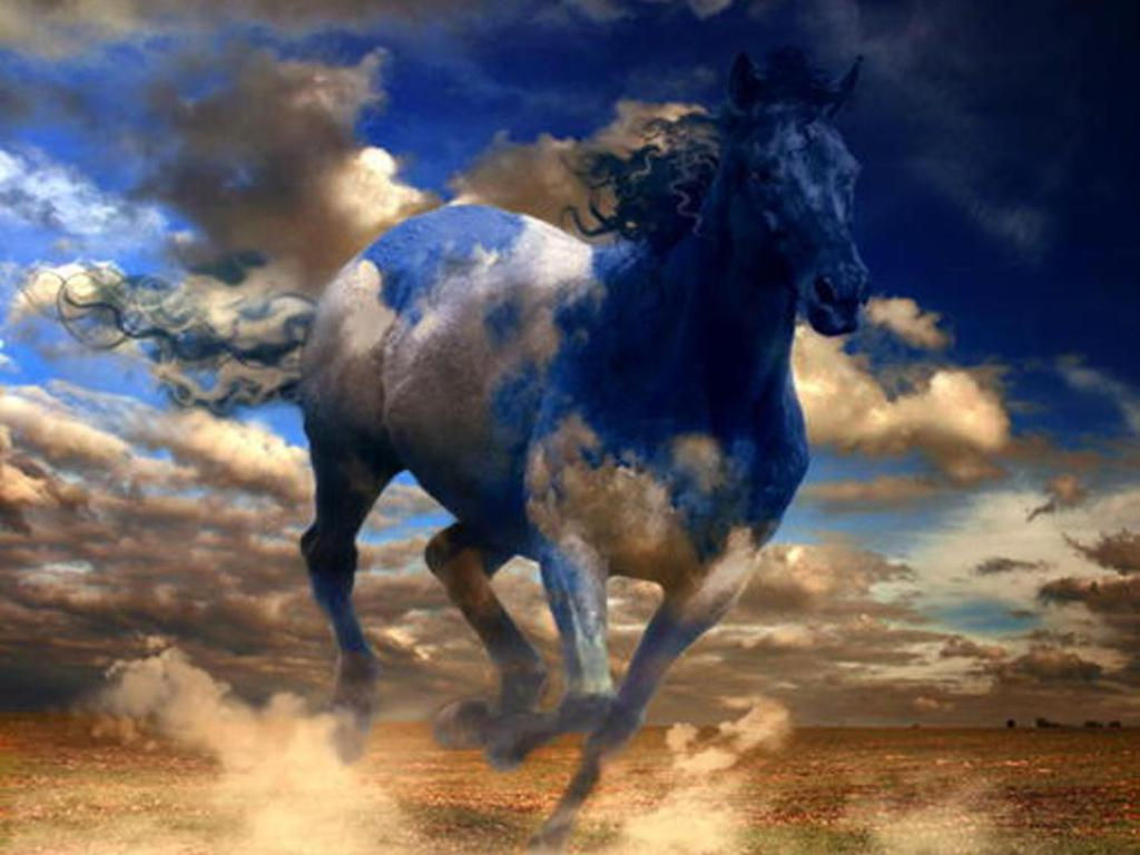Wallpaper #HWdNCpMBSpphPi3-pNQH77 Best Horses Wallpapers Entertainment Only