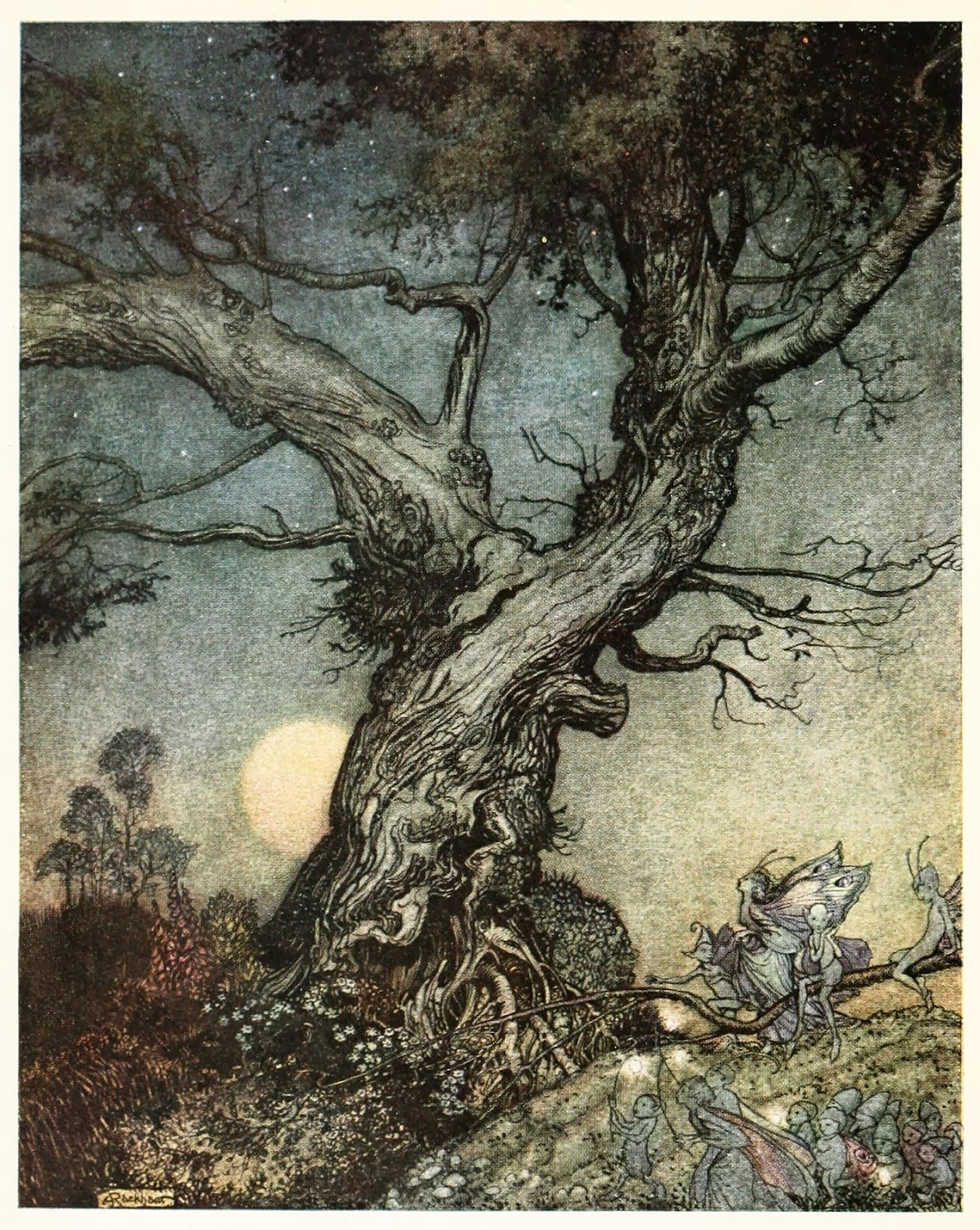 Wallpaper #lGcDC5MBSpphPi3-T9ct170 Split Complementary Illustration Unit Arthur Rackham