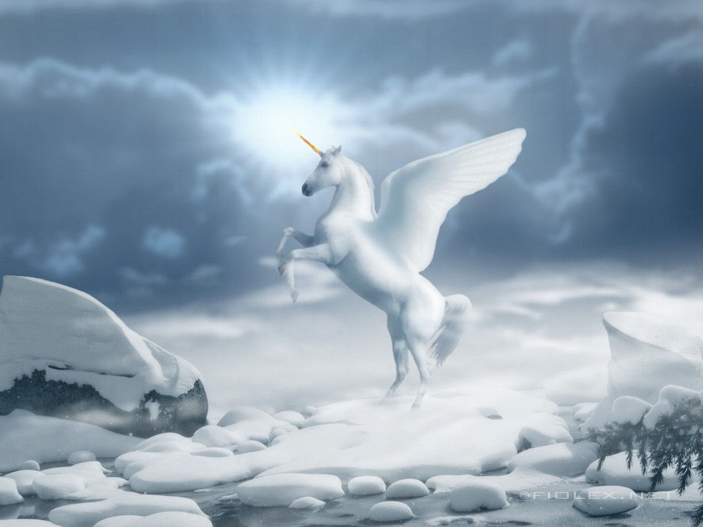 Wallpaper #8h2ULJMBlOZrFDOkIMqE91 Beautiful Wallpapers White Horse Wallpapers