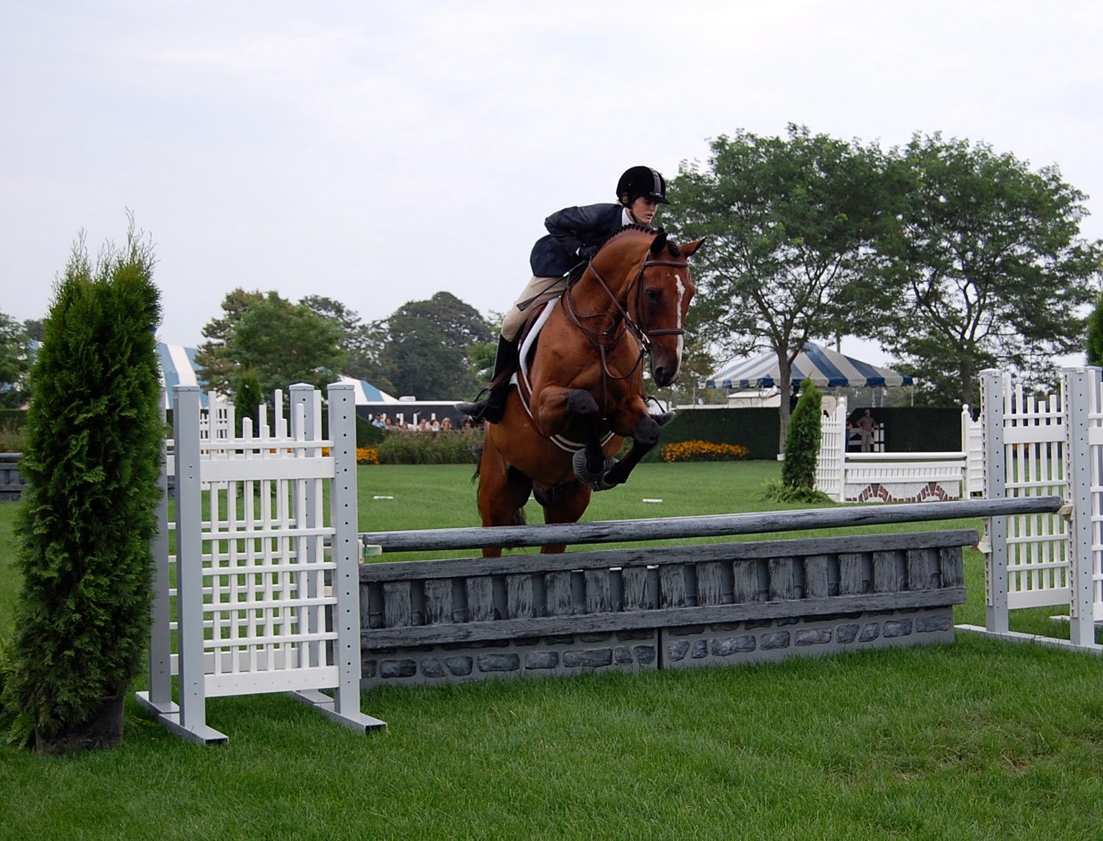 Wallpaper #Gx2aLJMBlOZrFDOk68sw82 HD Animals Wallpapers Horse Jumping Pictures