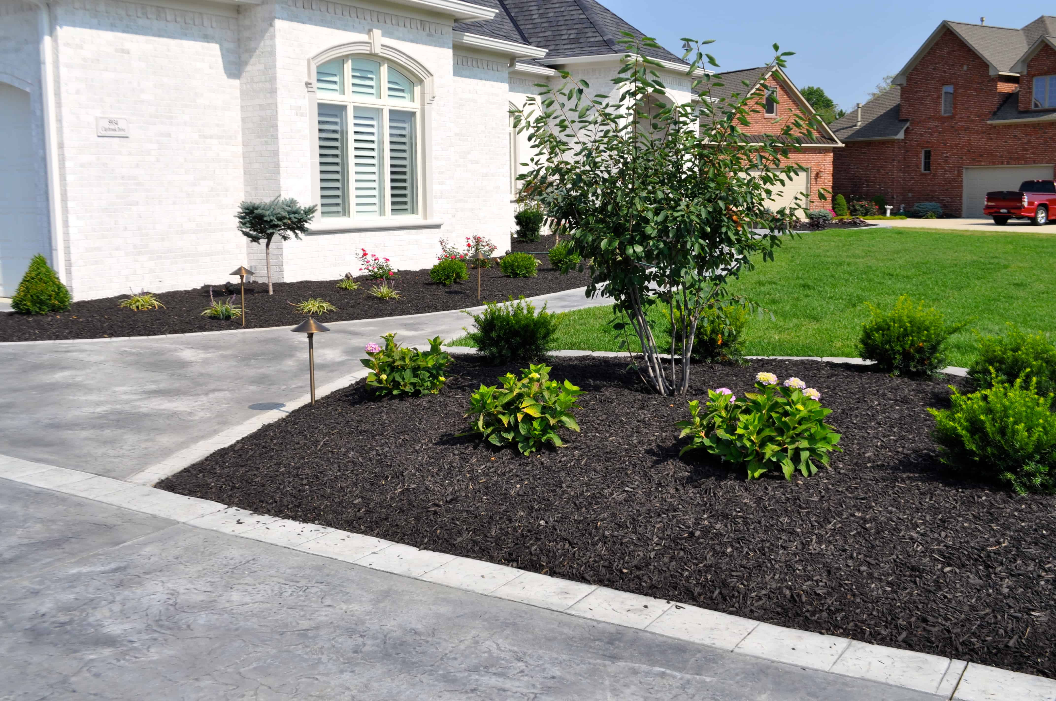 Wallpaper 62aea Mulch in More at Lucille Ziegler Blog HD Wallpaper 62aea