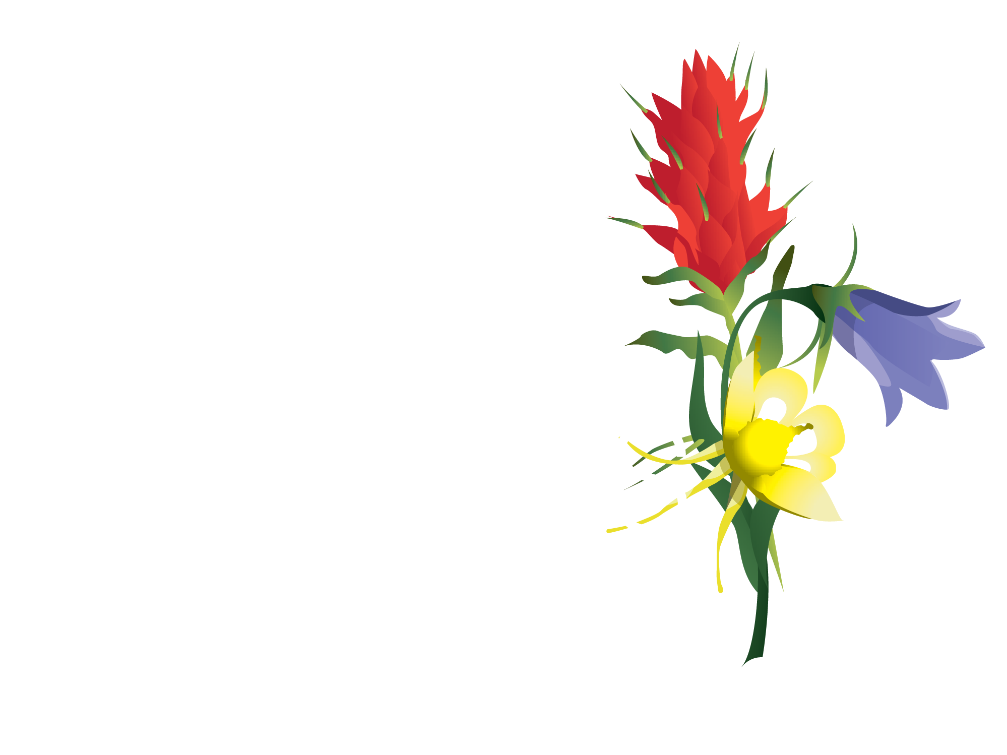 Wallpaper #_F7fMpMBborbLbczHl-2336 Finding Your Inner Botanical Artist Betty Ford Alpine Gardens