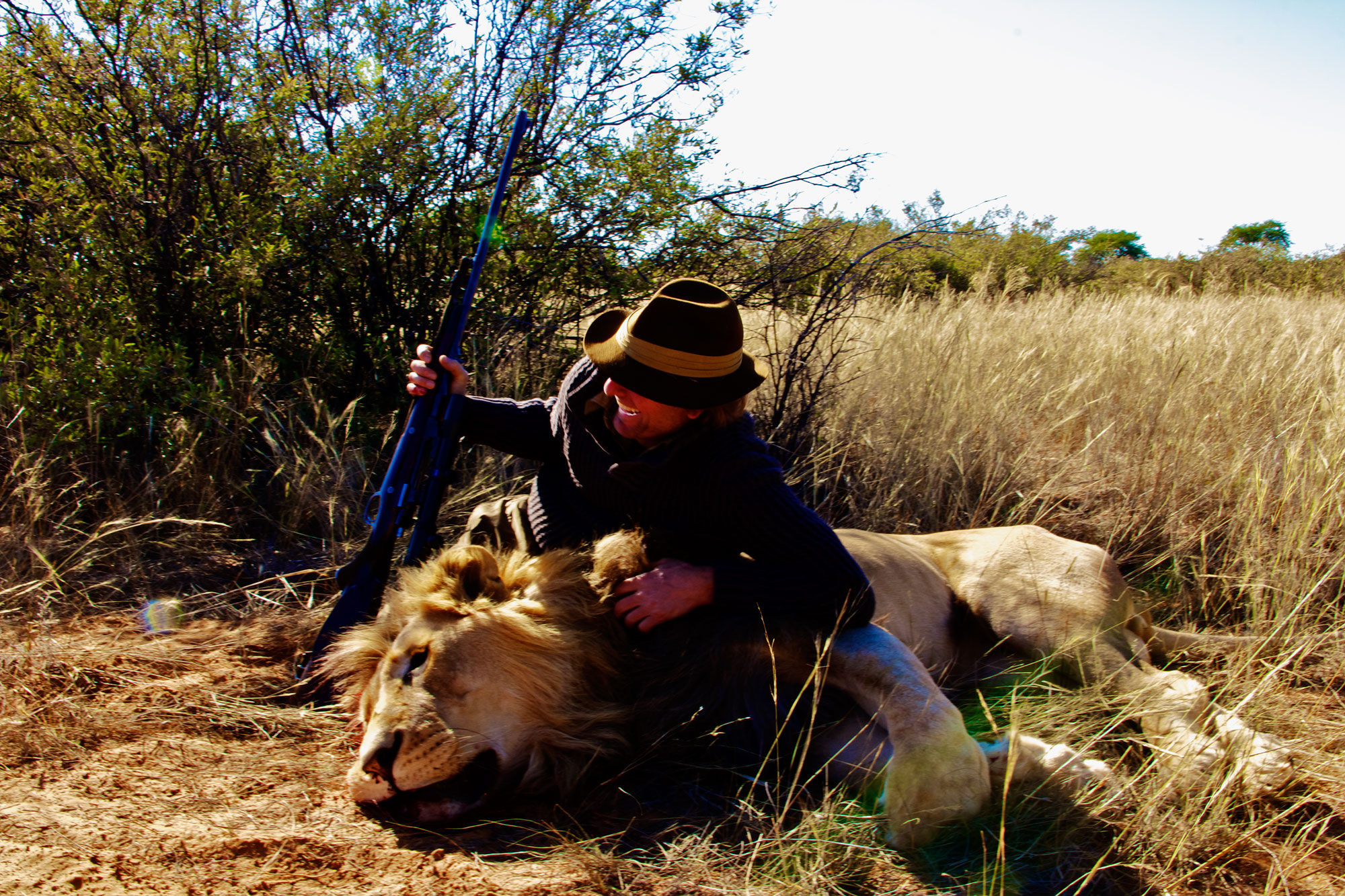 Wallpaper #354B4 Male Lion Hunting at Night 1 Andrew Yeoman Flickr