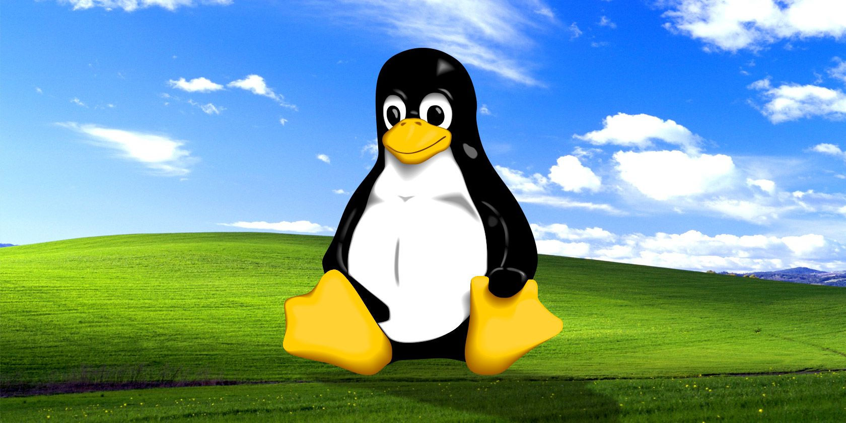 Wallpaper #6wC66o4BSdW8dNou3w_H39 The Best Linux Distributions for Windows Xp Refugees