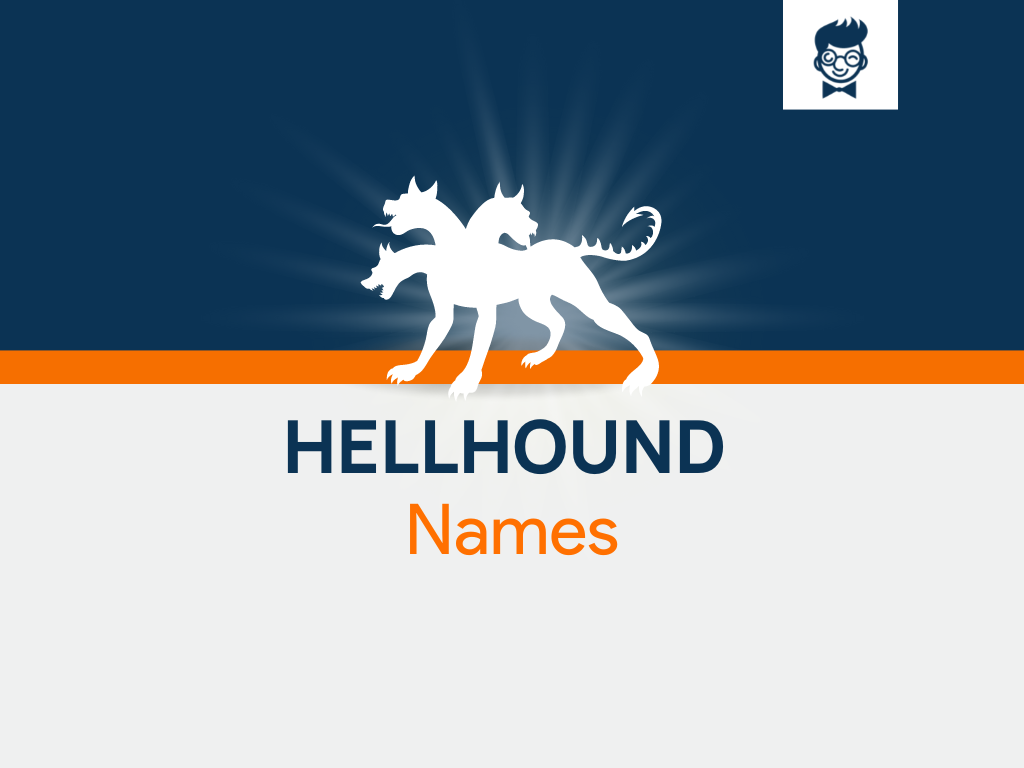 Wallpaper #4FiJNJMBzN9vxX34Wjzi356 Hellhound Names 665 Catchy and Cool Names Brandboy