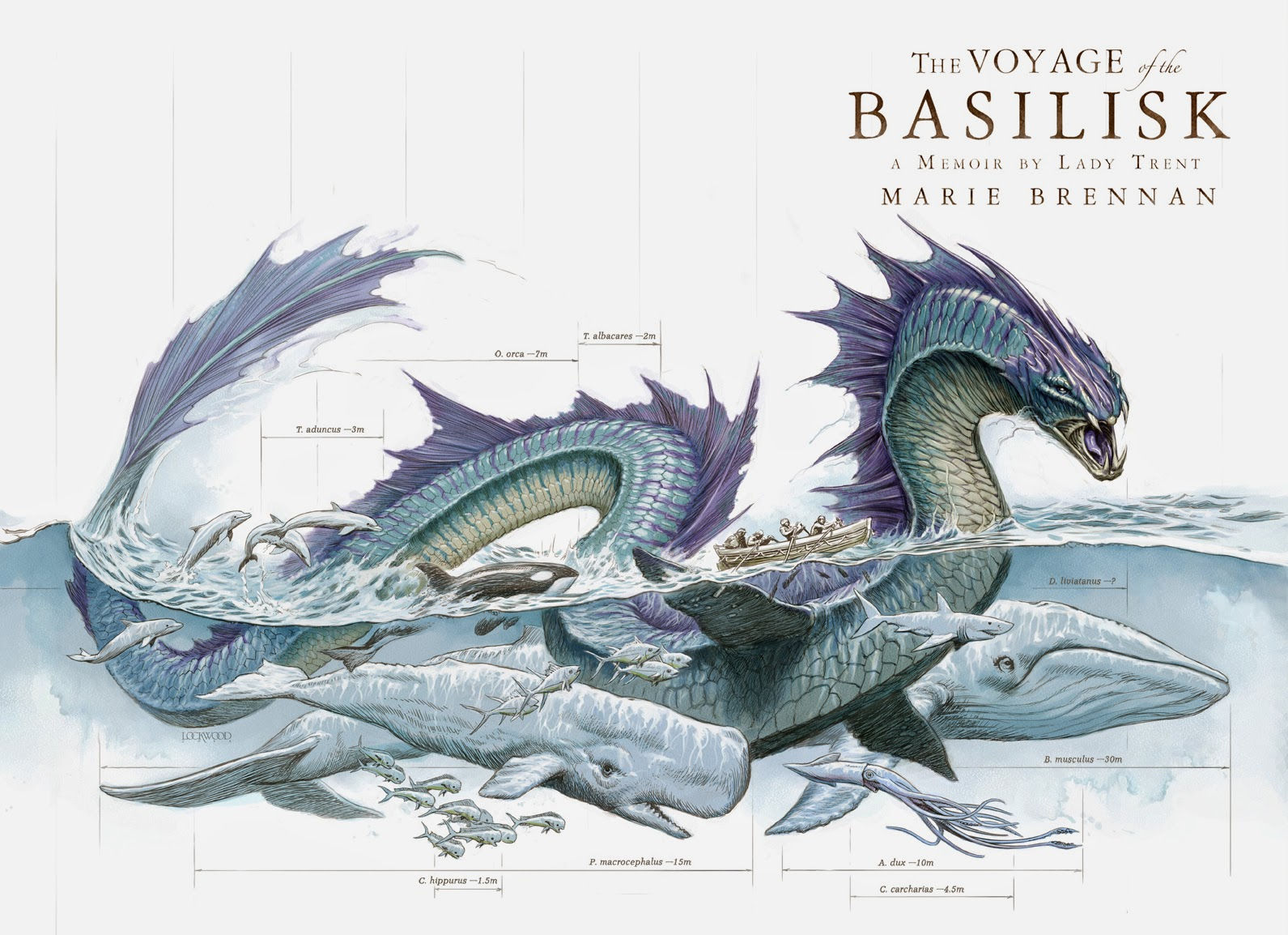 Wallpaper #nSyYSZMB0E1QgA7wi_Pe221 The Best Part of Fantastic Beasts is That Its About Science Ars Technica