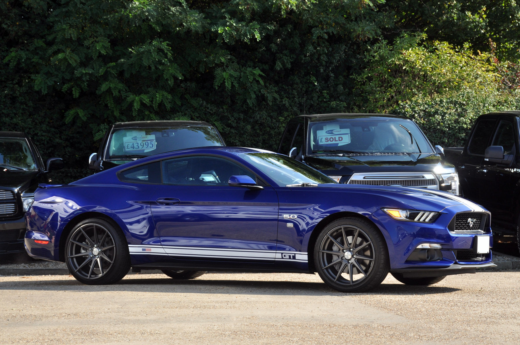 Wallpaper #BnQrw44B_8f4nGFam3Ag12 2015 15 Mustang GT Automatic David Boatwright Partnership