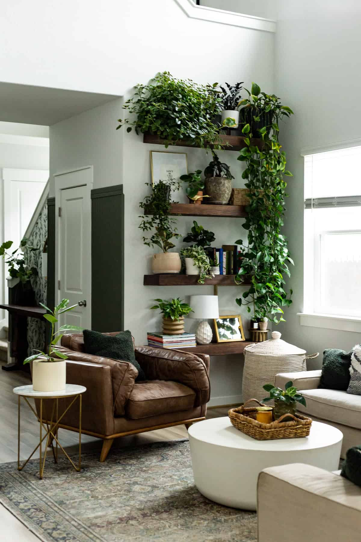 Wallpaper #b5610 30 Pretty House Plants Ideas for Living Room Decoration Living Room