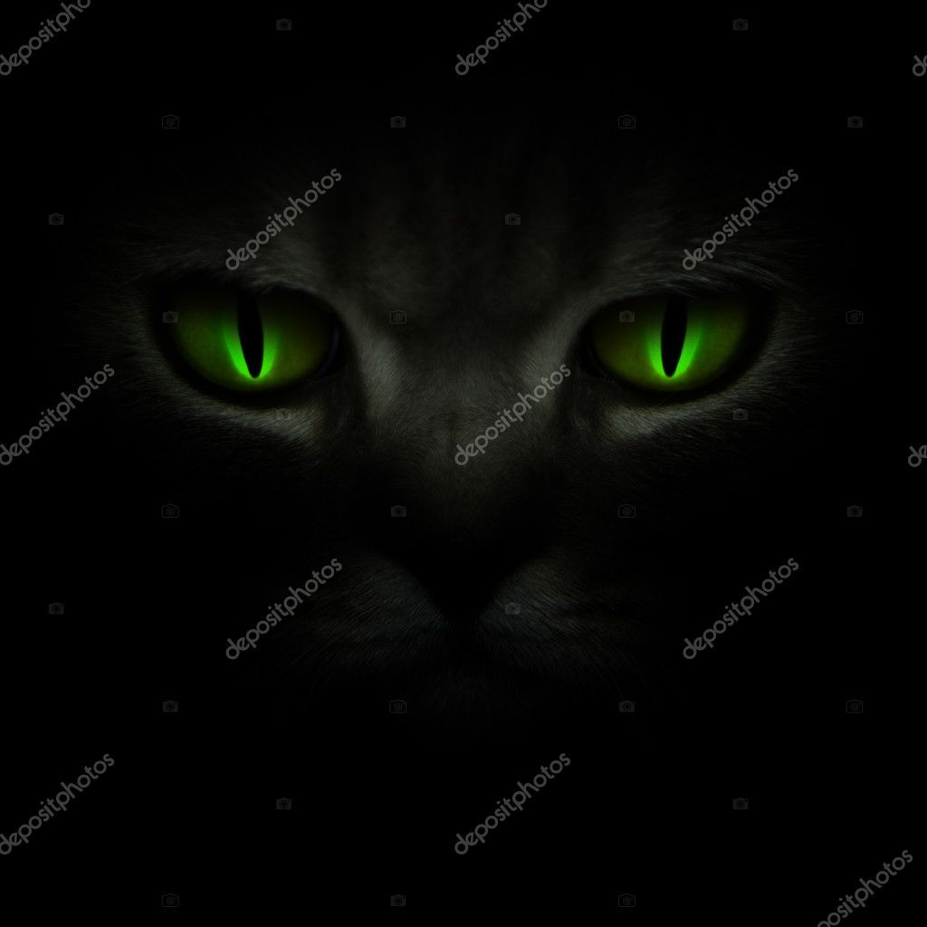 Wallpaper #0002c Glowing Wolf Eyes at Night