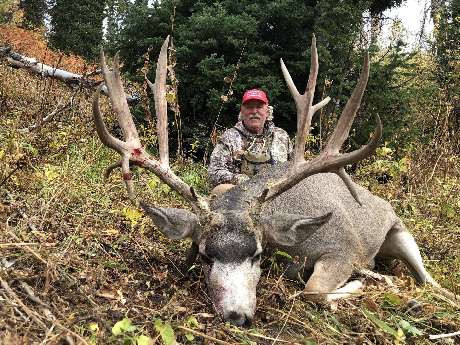 Wallpaper #FmiZE5MBSpphPi3-2gHs137 Wyoming Mule Deer Hunting Region G Outfitter Wy Mule Deer Hunt