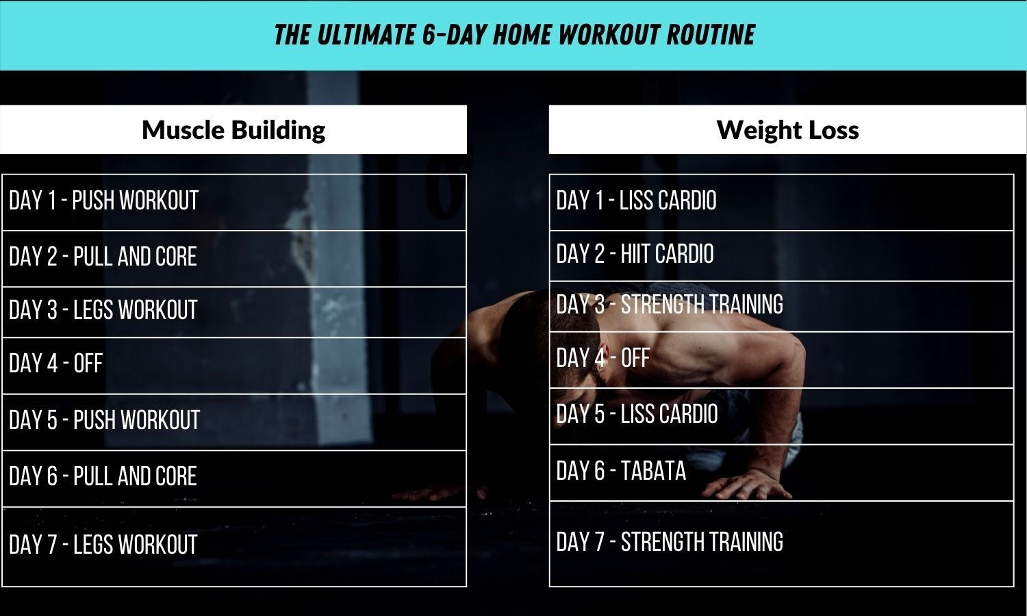 Wallpaper #FF7FB The Suspension Workout Chart Shows How to Do It and What You Can Do with It