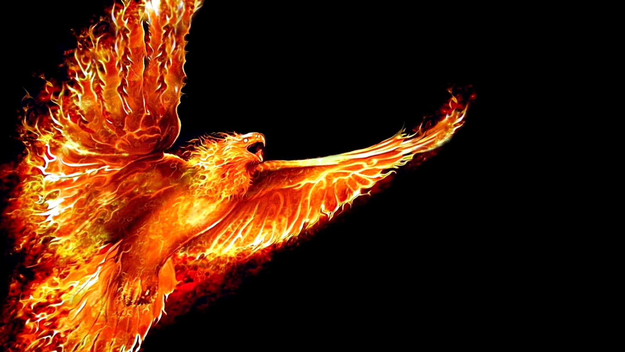 Wallpaper #2bc96 Image of a Majestic White Fire Phoenix on Craiyon