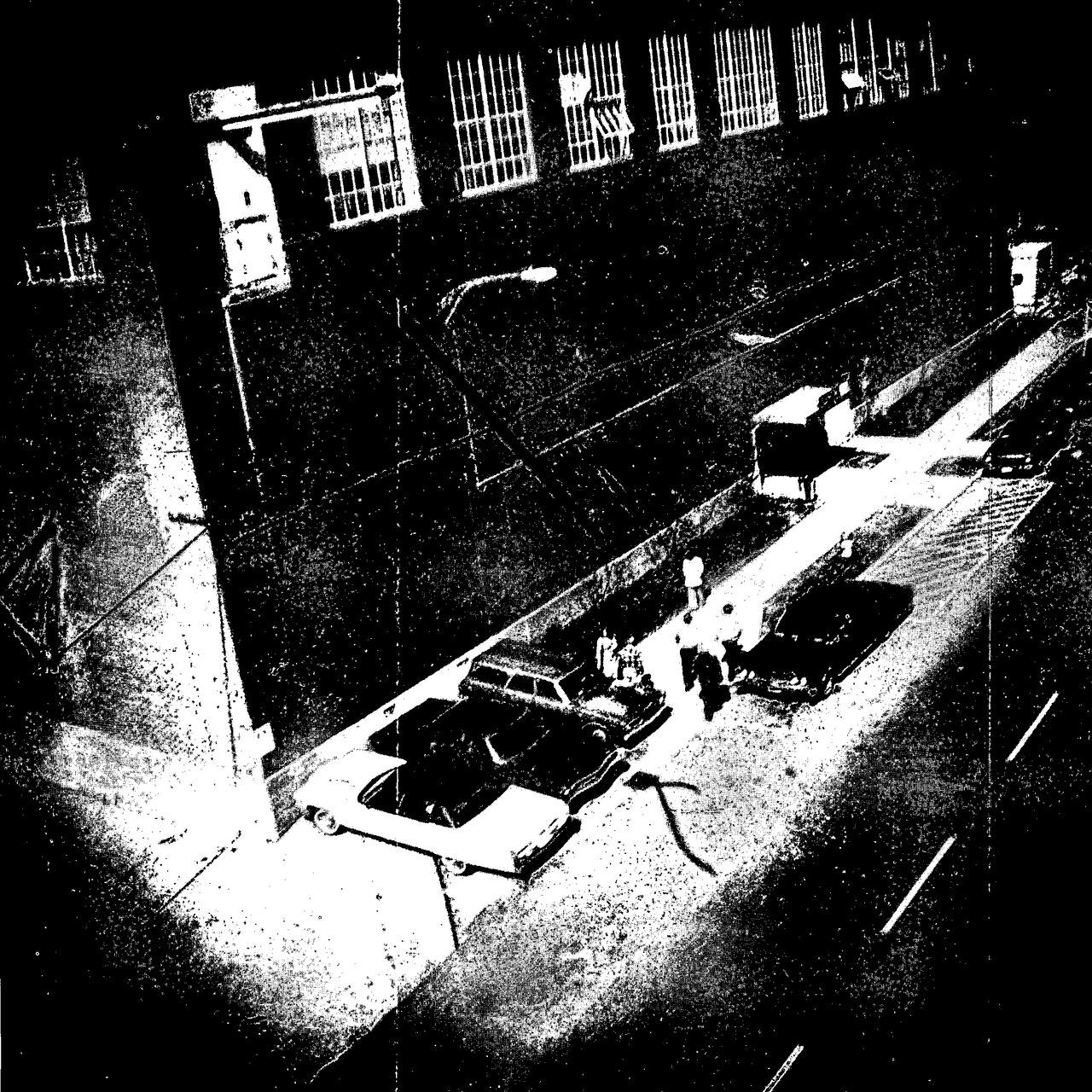Wallpaper #GWeGD5MBSpphPi3-Gu9Q382 When the Cia Spied on American Citizens Using Pigeons Atlas Obscura