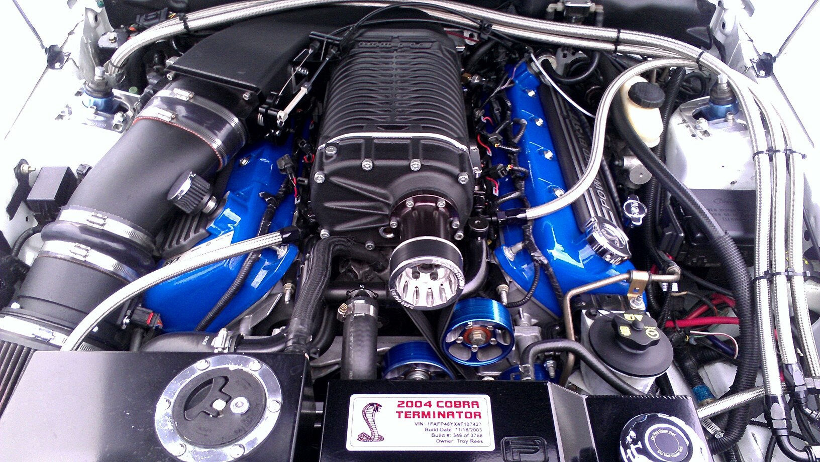 Wallpaper #AGdRA5MBSpphPi3-tLOH63 Cobra Engine Bay Pictures Page 5 Svtperformancecom