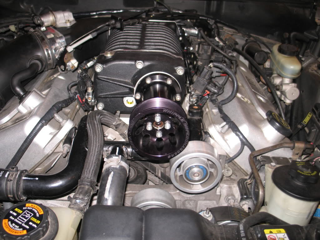 Wallpaper #2uqcVJMBlwTYPL18FgsO300 Whipple Supercharger Belt Diagram