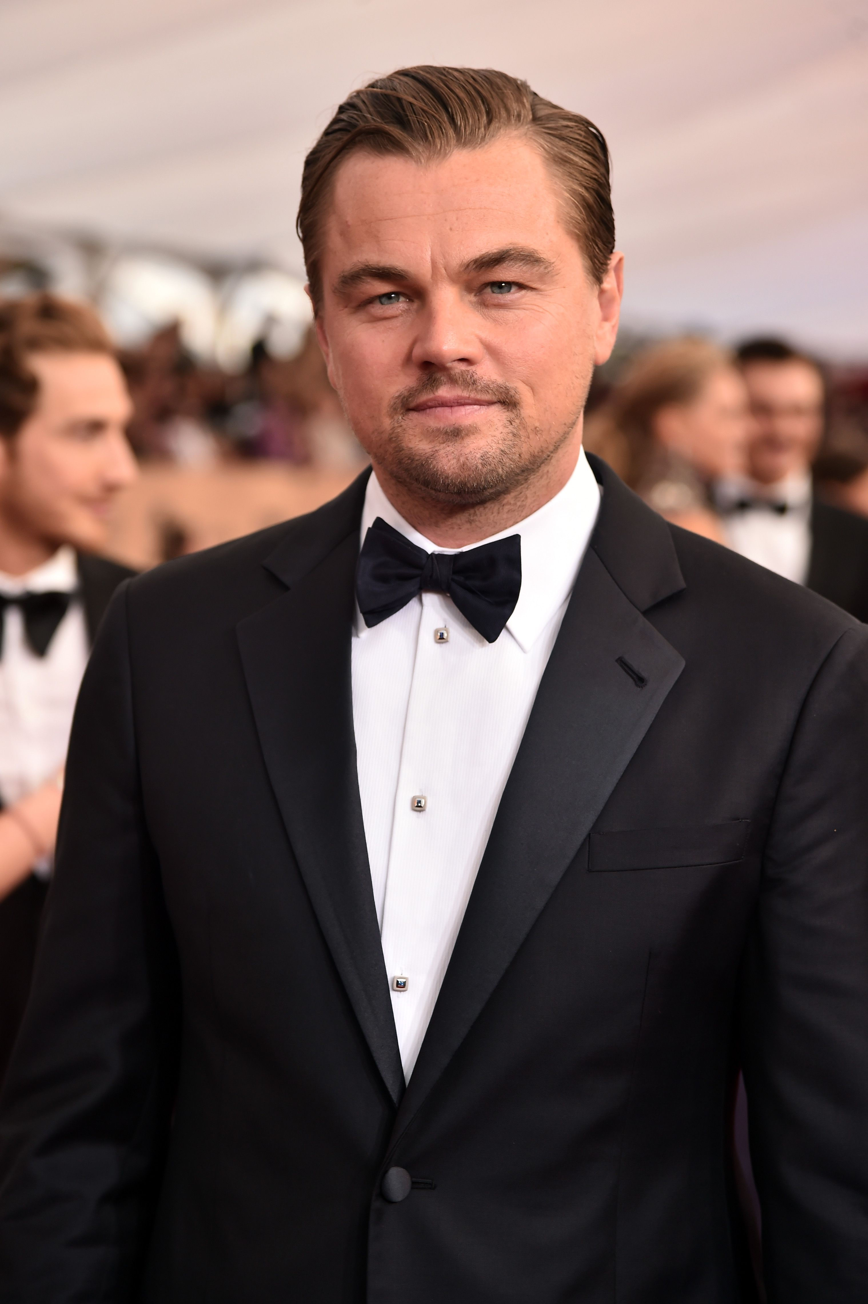 Wallpaper #k2dh-JIBSpphPi3-1InV28 Leonardo Dicaprio Here S Proof That Leonardo Dicaprio is the Internet
