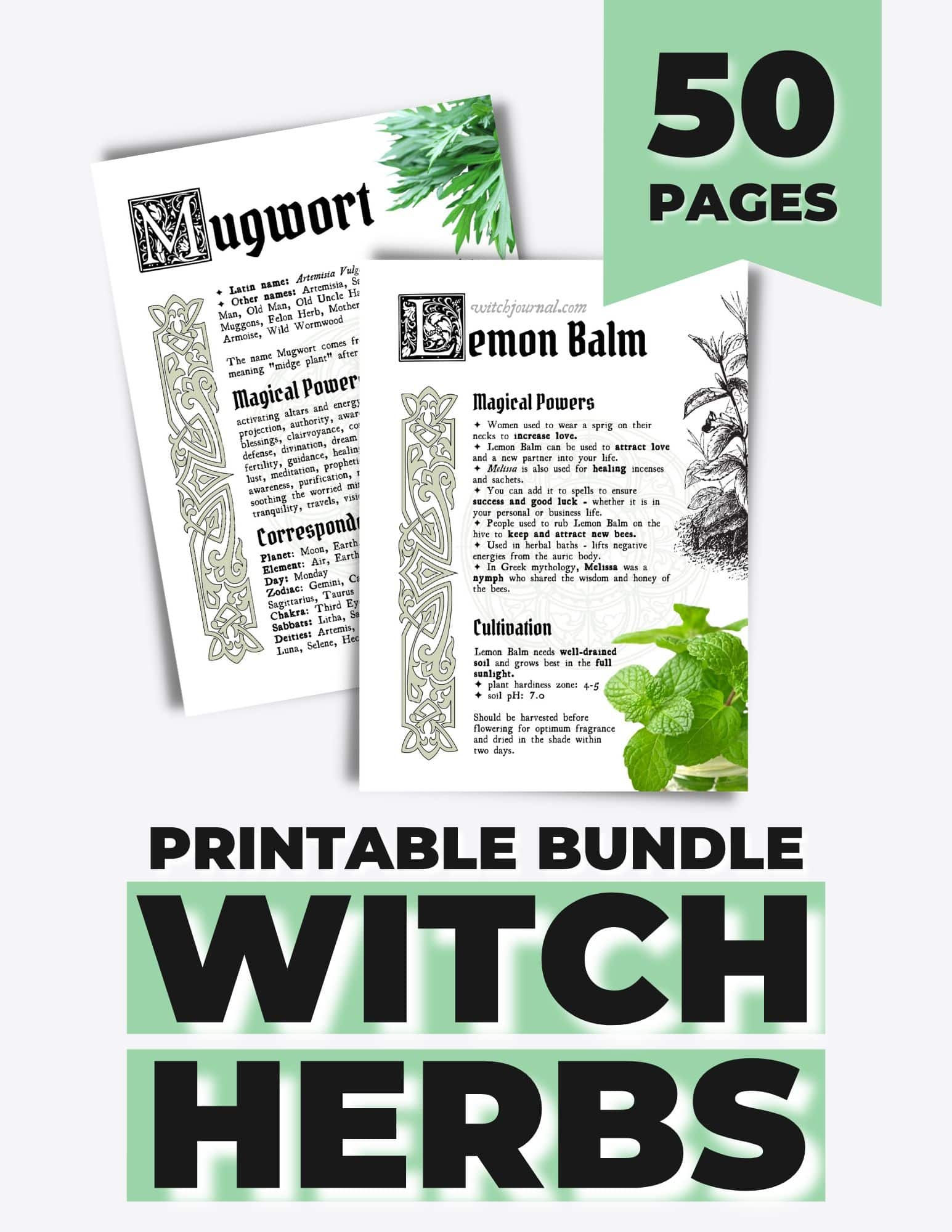 Wallpaper #7GfOA5MBSpphPi3-UbSW140 Witch Herbs List with Properties 50 Pages Witchcraft Herbs