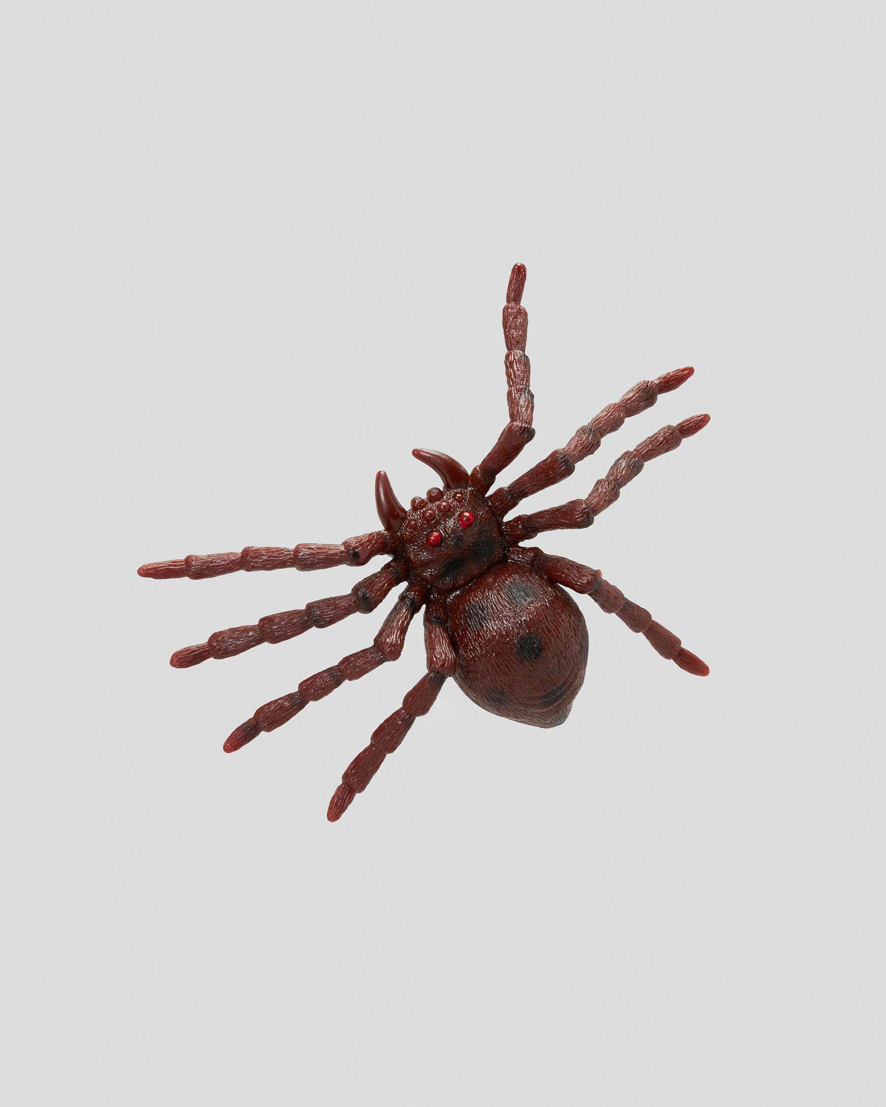 Wallpaper #-vQcOpMBKFX8bn3rt3dJ57 Shop Get It Now Ginormous Spider Toy in Natural Fast Shipping Easy