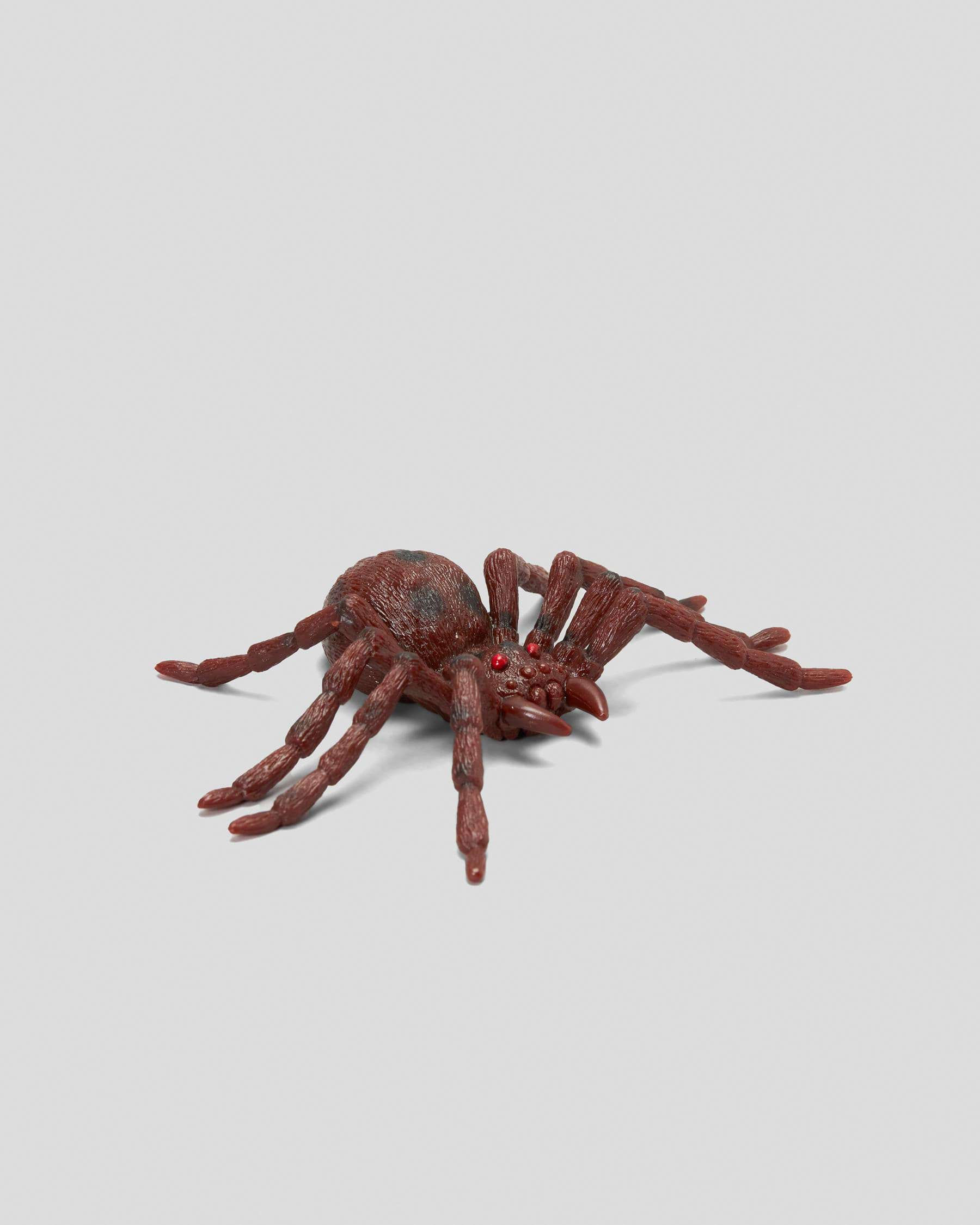 Wallpaper #-vQcOpMBKFX8bn3rt3dJ42 Shop Get It Now Ginormous Spider Toy in Natural Fast Shipping Easy