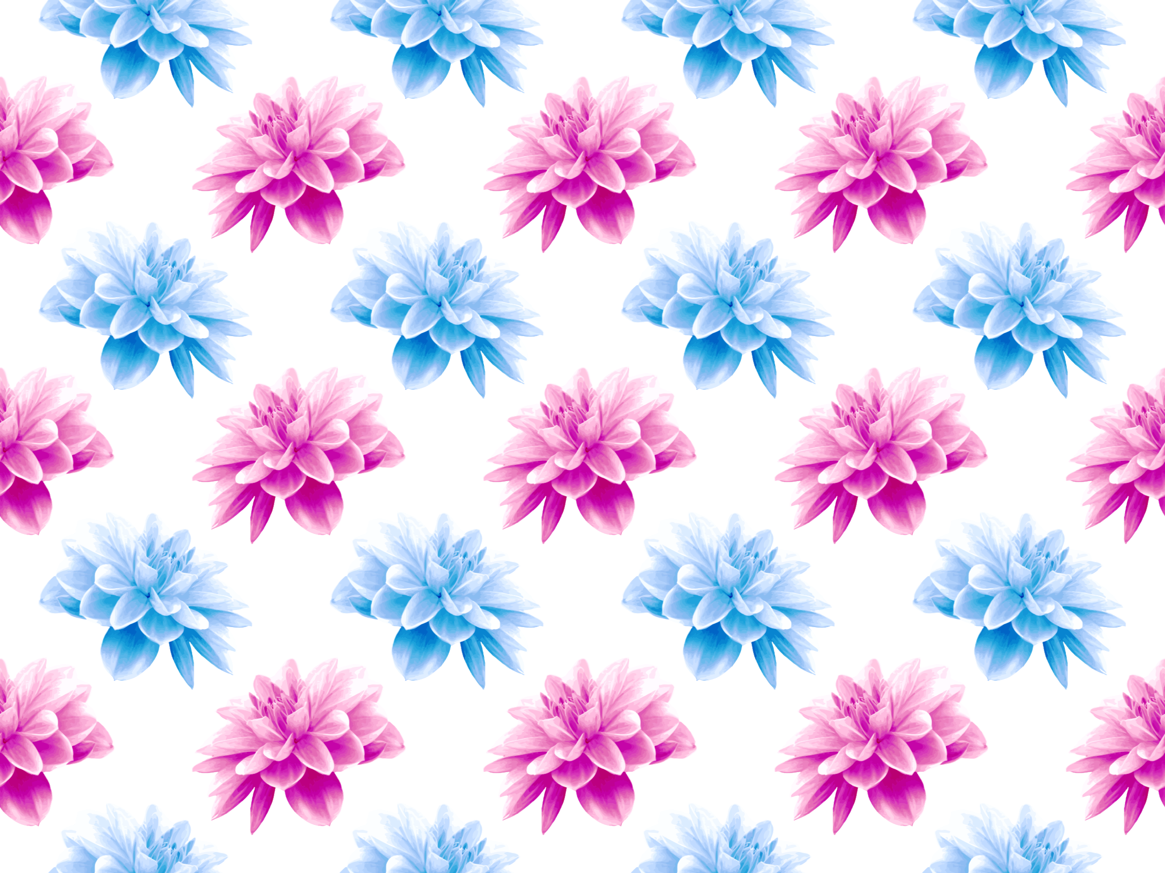 Wallpaper #pWfB7pIBSpphPi3-dF4W241 Flower Pattern Png Flower Pattern Png Transparent Free for Download on