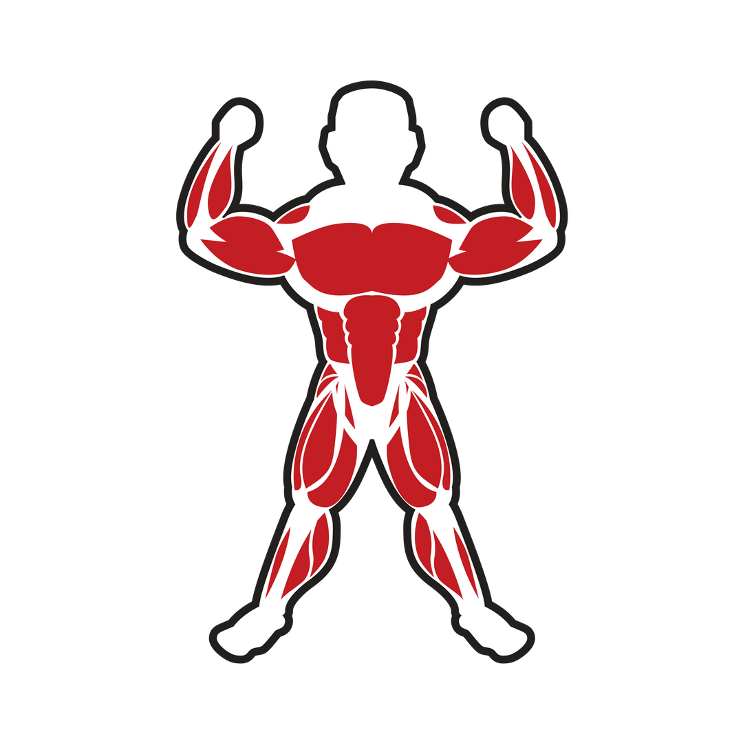 Wallpaper #eTGeNZMB5zzyi_yY8Fea37 Muscles Clipart Smooth Muscle Muscles Smooth Muscle Transparent Free