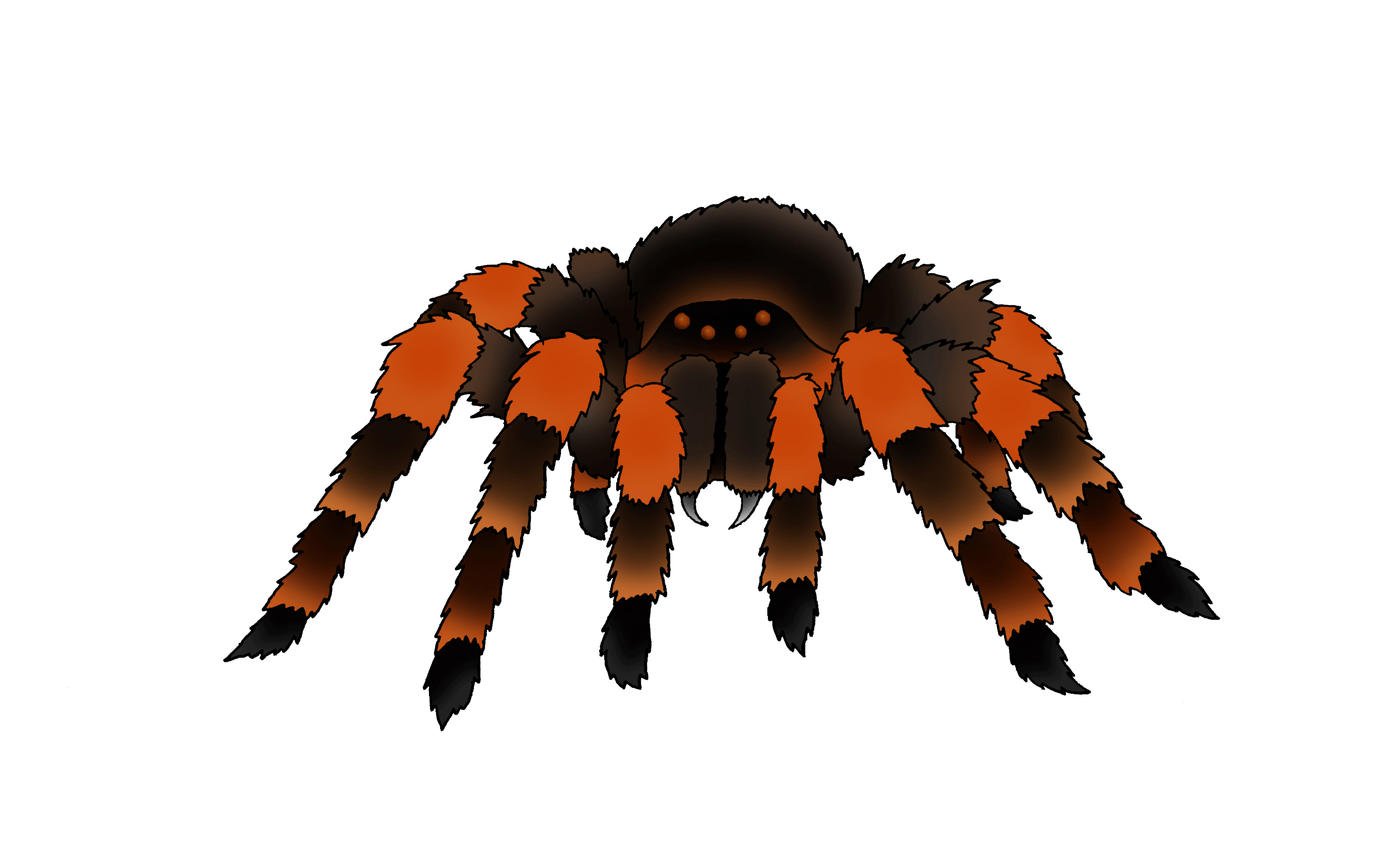 Wallpaper #P-bVMpMBA7IOc3WmdhKX213 Spider Clipart Animation Spider Animation Transparent Free for