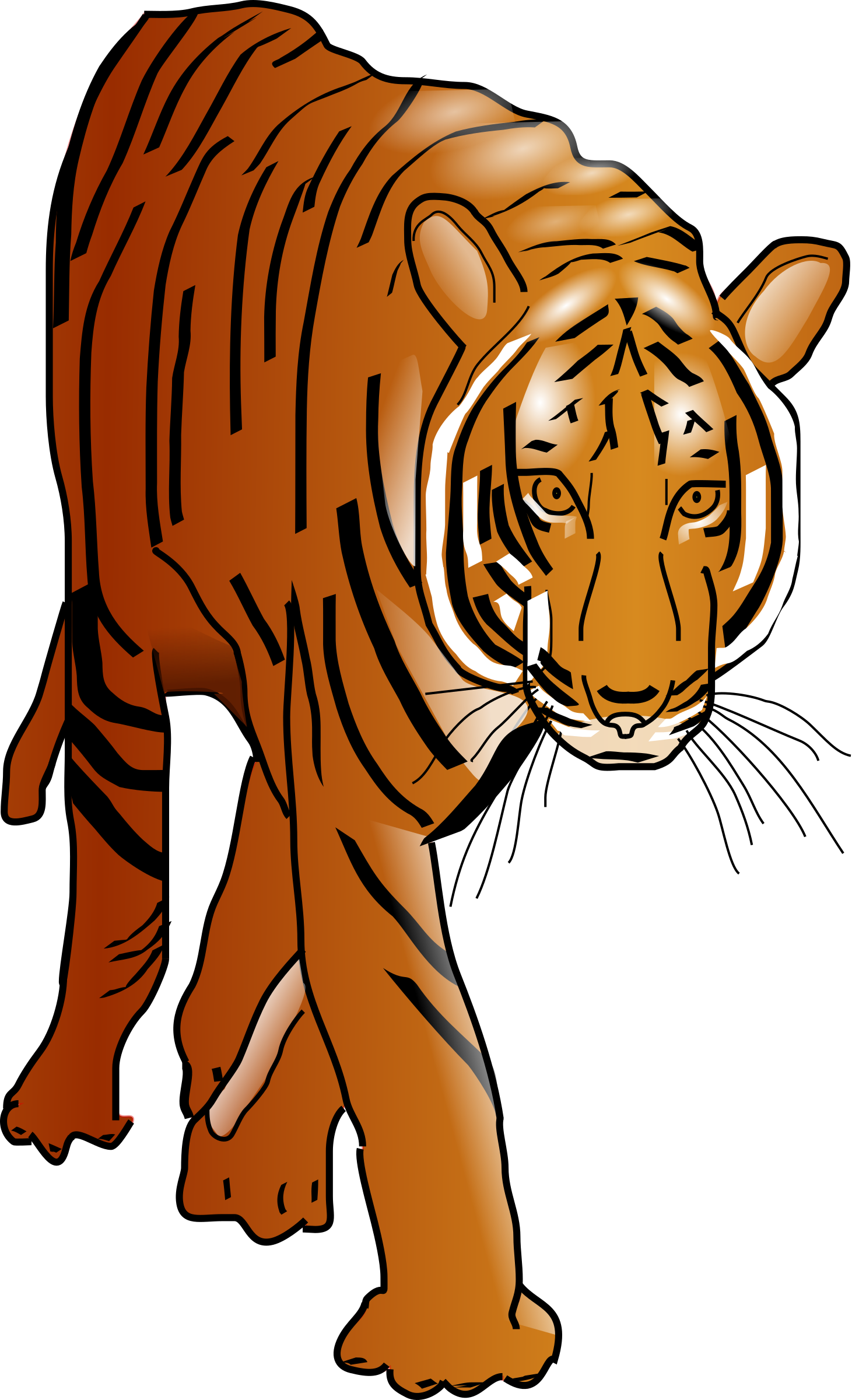 Wallpaper #TzHkNZMB5zzyi_yYKVgZ447 Head Clipart Bengal Tiger Head Bengal Tiger Transparent Free for