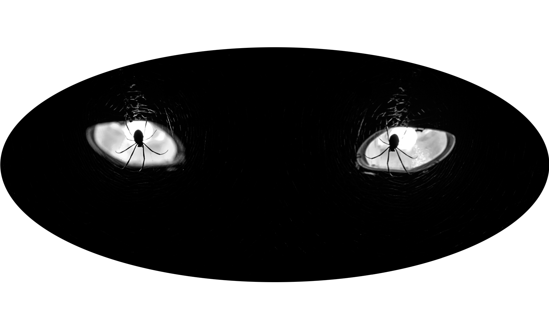 Wallpaper #P2dR65IBSpphPi3-3kuz131 Spider Man Eyes Png