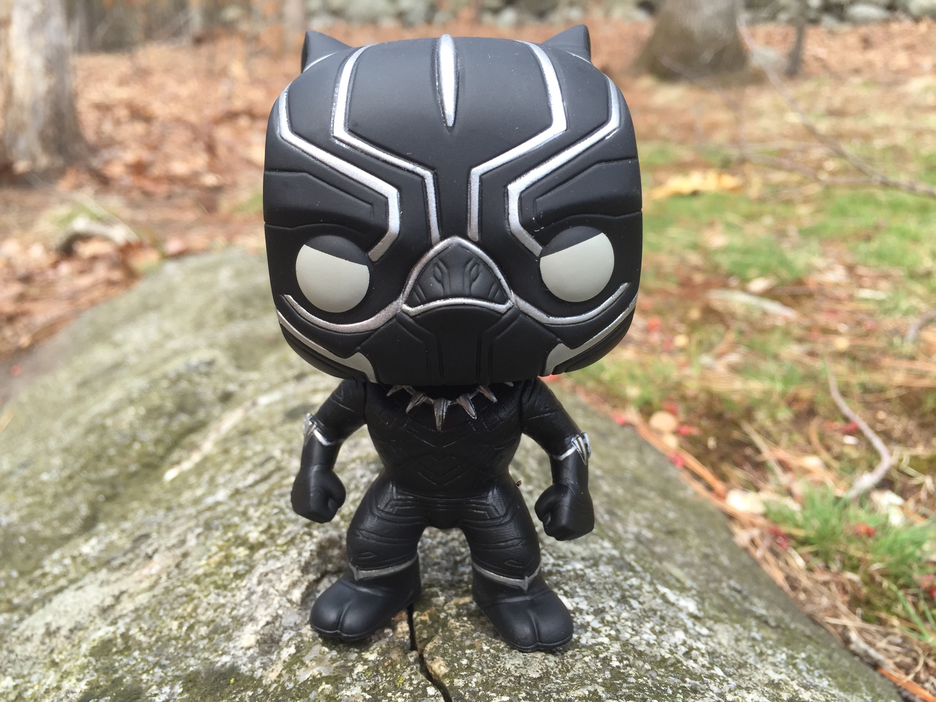 Wallpaper #_aV-OJMBVBiSkHCa5Y3h154 Collectibles Art Black Panther Bobblehead Chadwick Funko Pop Marvel