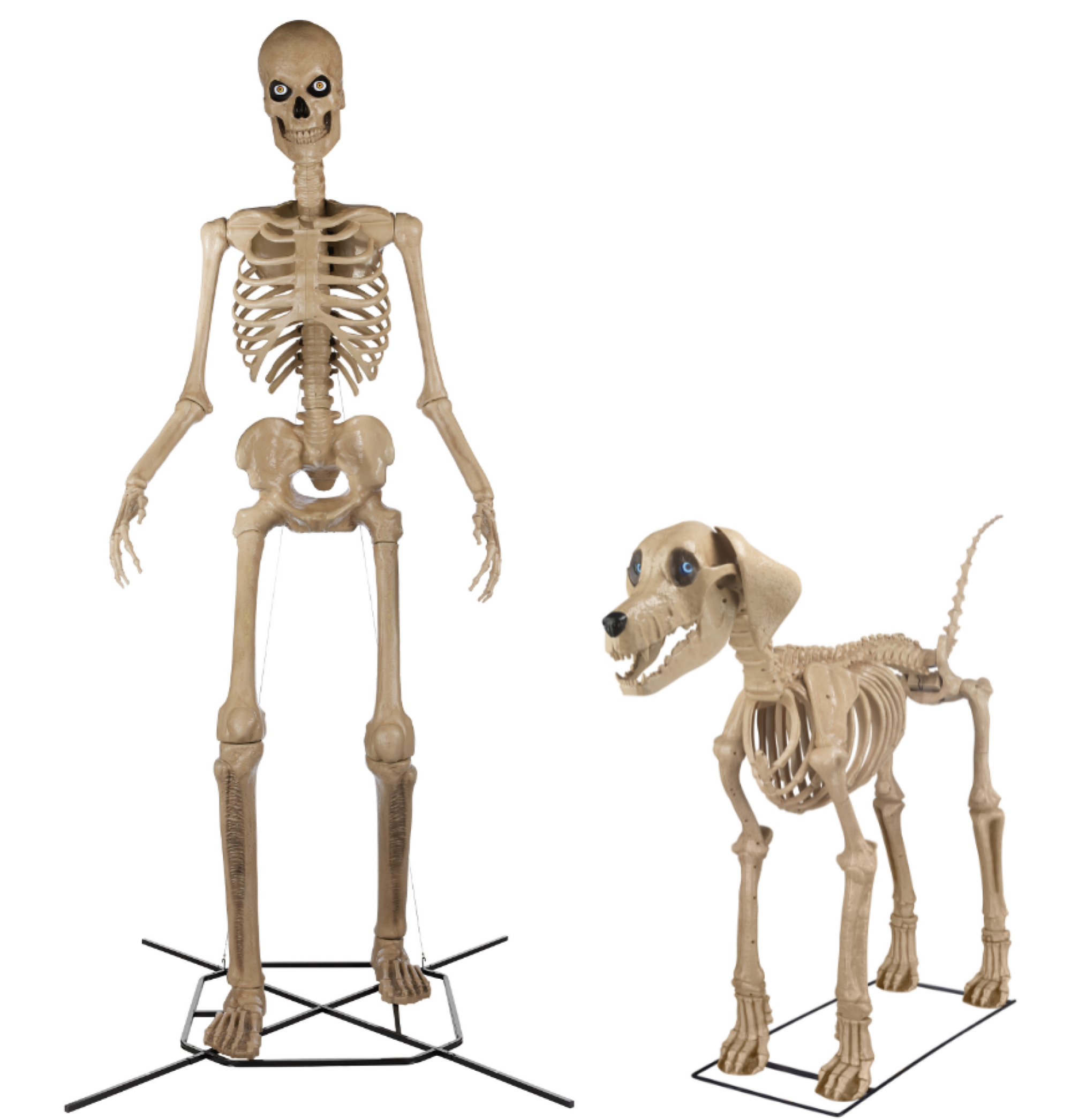 Wallpaper #-mhaFJMBSpphPi3-rAPx249 Home Depot Halloween 2024 Sale Evanne Aundrea