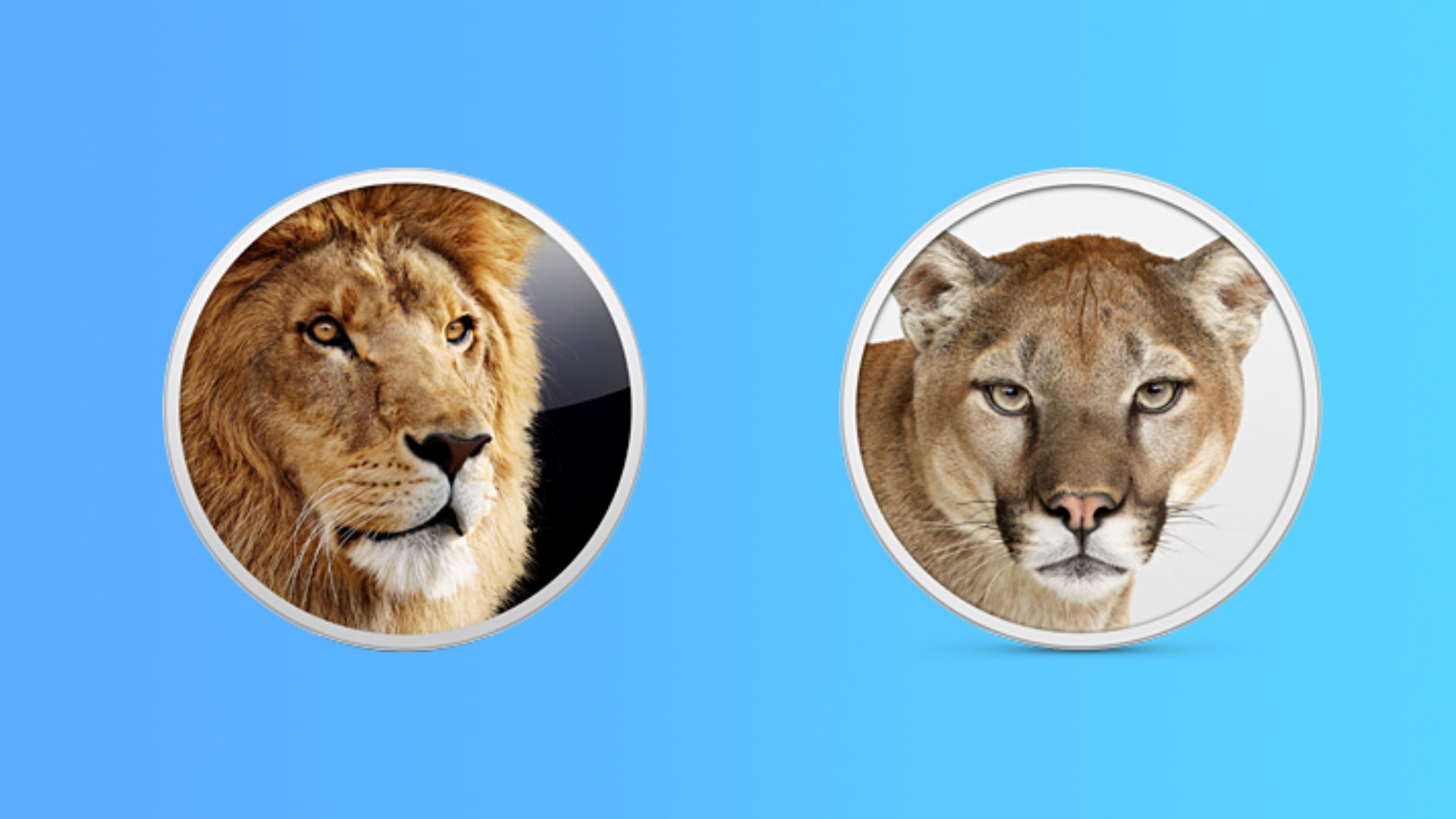 Wallpaper #Sz-jO5MBLiIJ4c9Oy4-H182 Apple Finally Lets Users Download Mac Os X Lion and Mountain Lion for