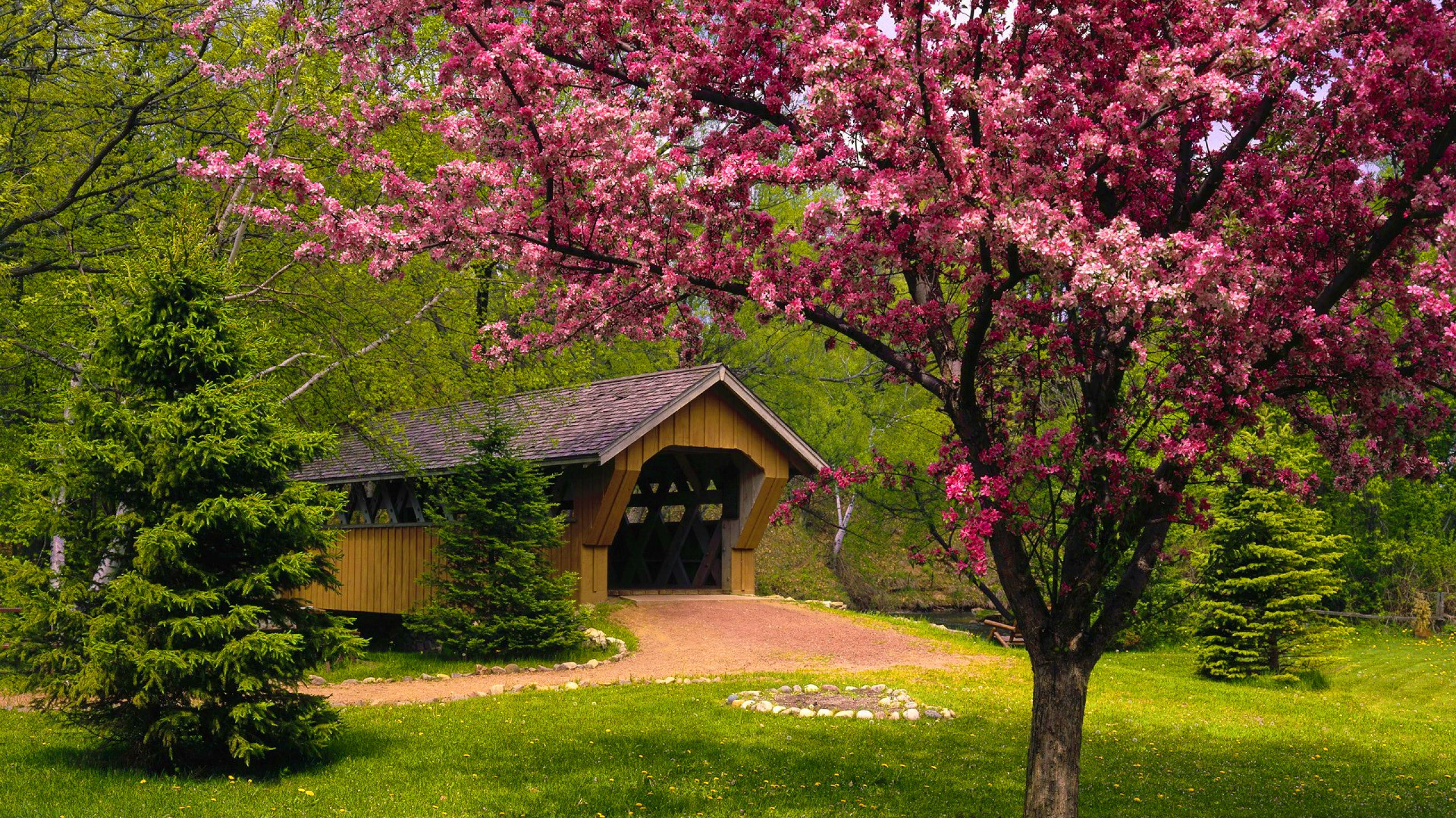 Wallpaper #xWec6JIBSpphPi3-3T25340 Download Pink Flower Blossom Tree Spring Bridge Man Made Covered Bridge