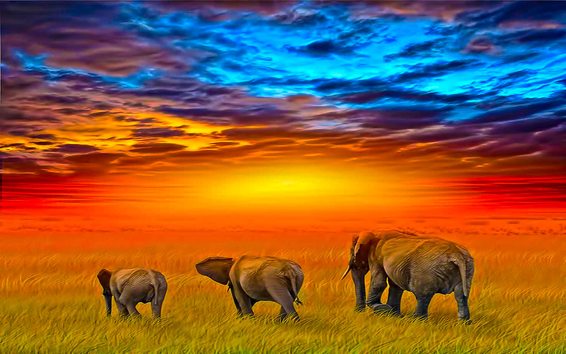 Wallpaper #sHfNJ5MB-pgBXx60h6cK30 Majestic Elephants at Sunset HD Wallpaper