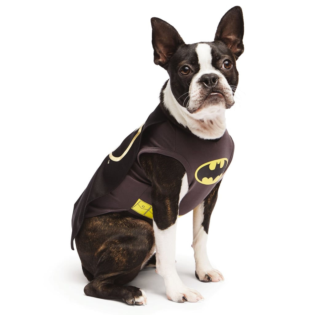 Wallpaper #EWjPIpMBSpphPi3-7TRt278 Batman Superhero Costumes for Dogs Popsugar Pets Photo 16