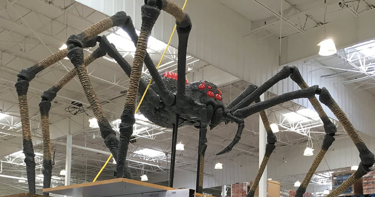 Wallpaper #zpwf4pIBZHQxiYarj74D443 Halloween Decorations 16 Ft Spider Web Lights 100 Leds Super Realistic