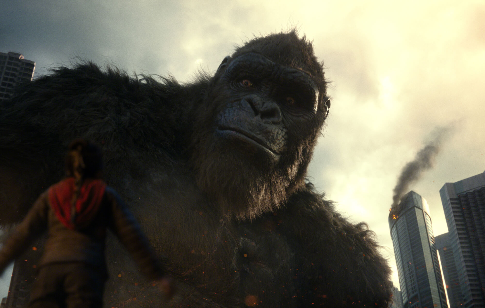 Wallpaper #ihmZLo8BtGB6xQ78FpXR31 Godzilla vs Kong Review Monster Mash Em Up is Mighty Good Fun