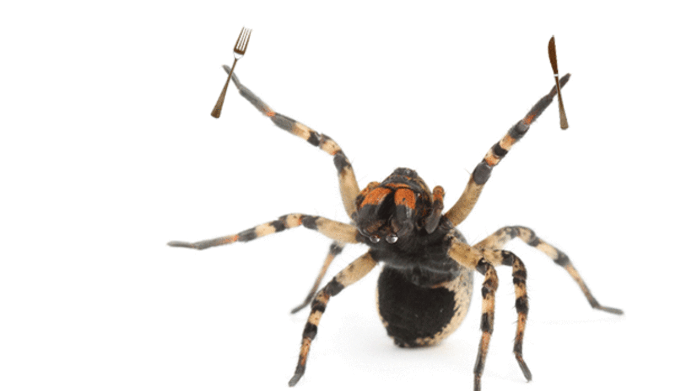 Wallpaper #ce6bd Giant Spider on the Ceiling of an Abandoned Psychiatric Hospital R