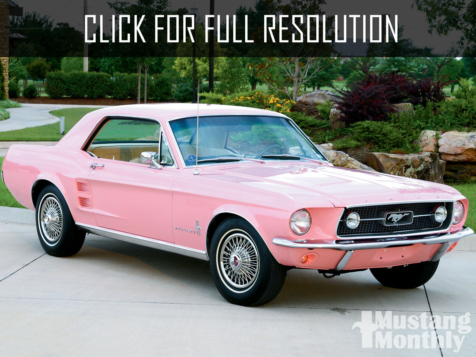 Wallpaper #41D04 Modified and Customized Pink Ford Mustang Stock Photo Alamy