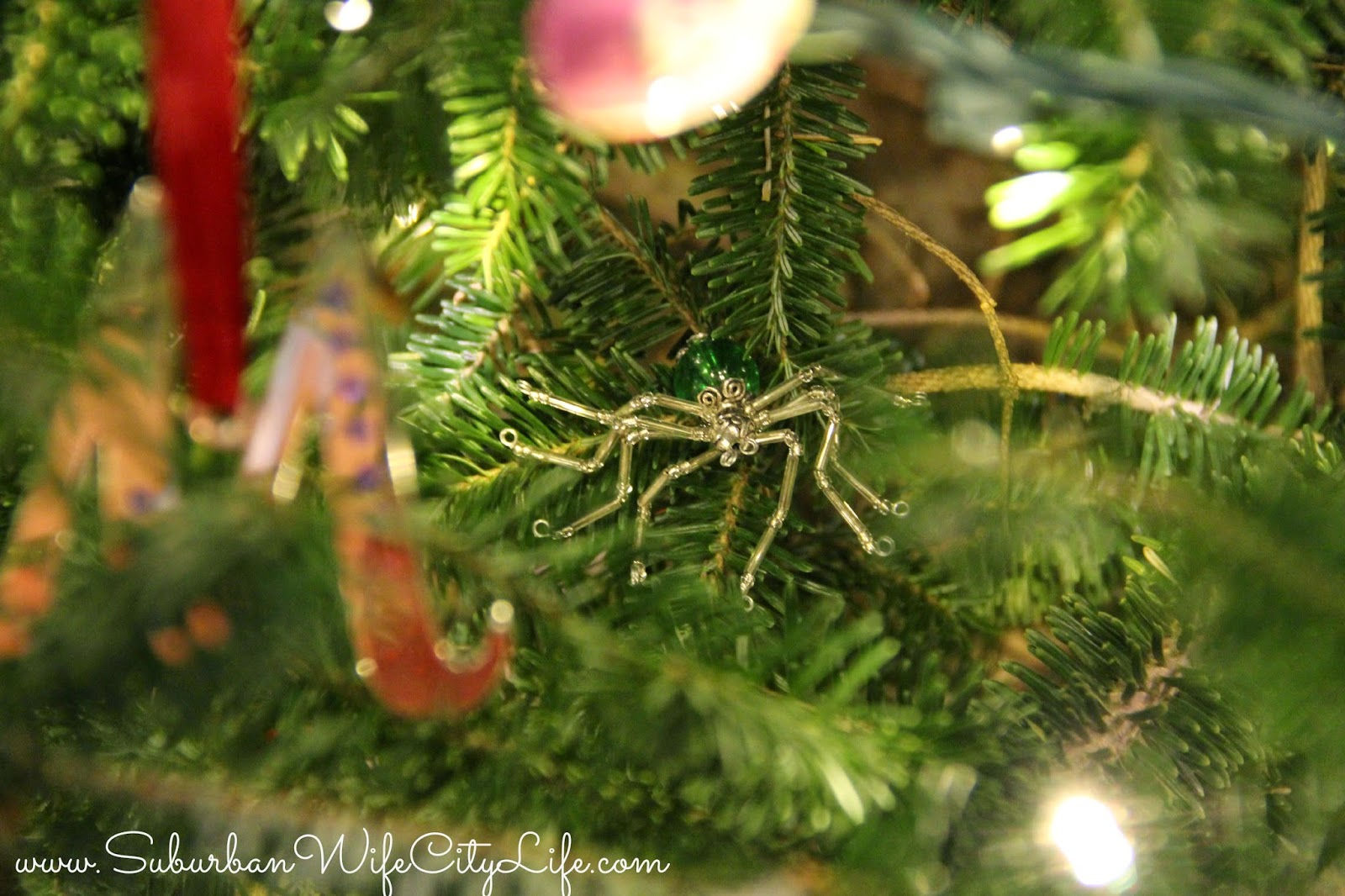 Wallpaper #3zG8NZMB5zzyi_yYz1df296 Legend of the Christmas Spider Suburban Wife City Life