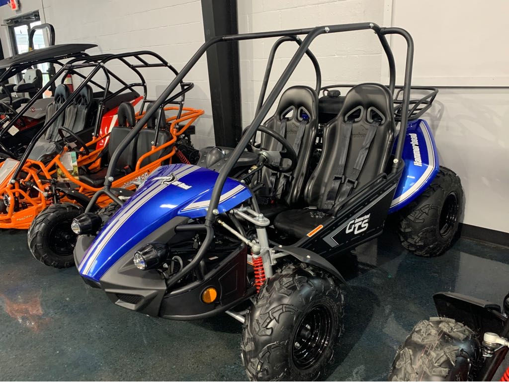 Wallpaper #n2fY8pIBSpphPi3-4HKP52 2021 Hammerhead Off Road Gts 150 Full Size Go Kart for Sale in