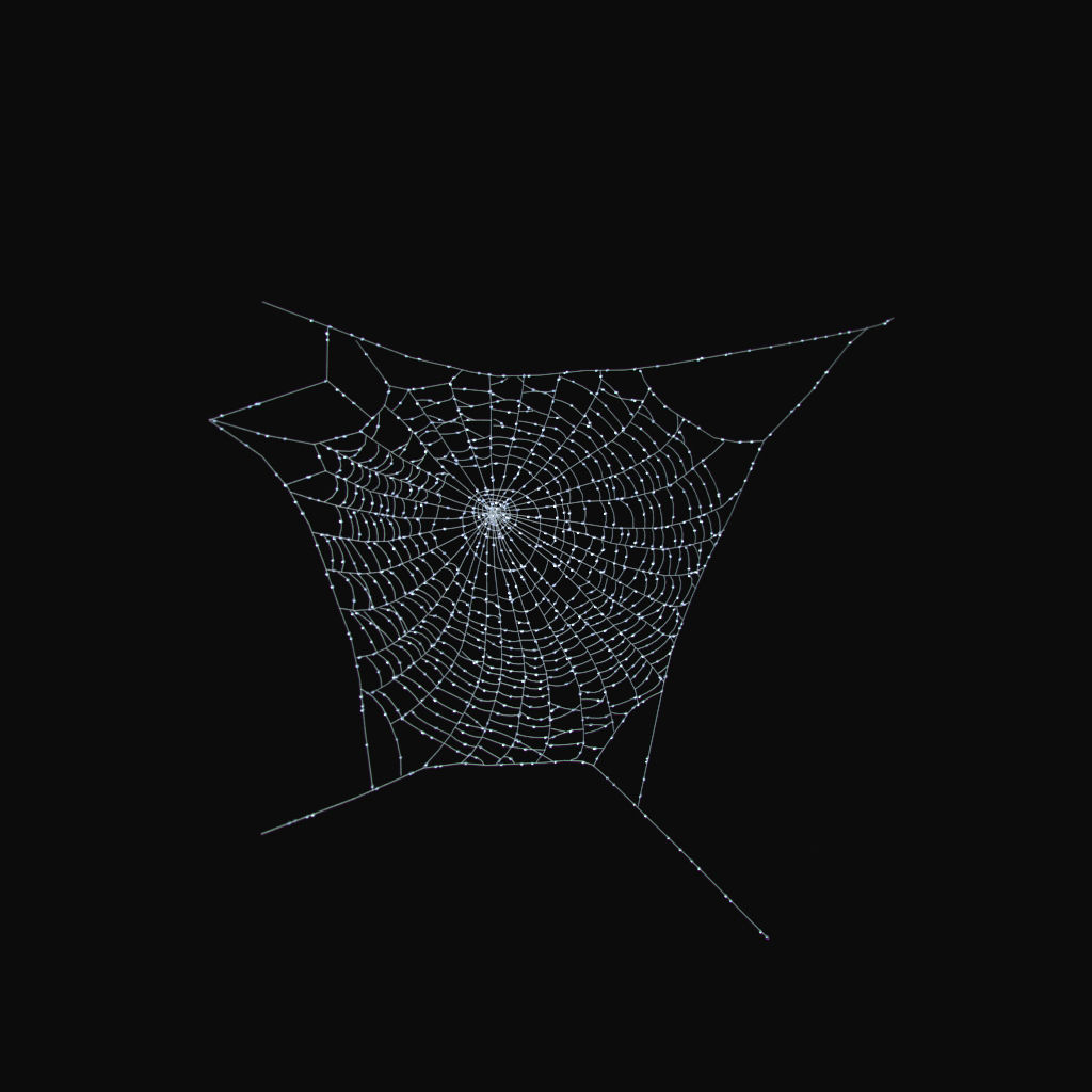 Wallpaper #xhmUEo8BtGB6xQ78j2OD18 Spider Web 3D Model 39 Fbx Max Obj Free3d