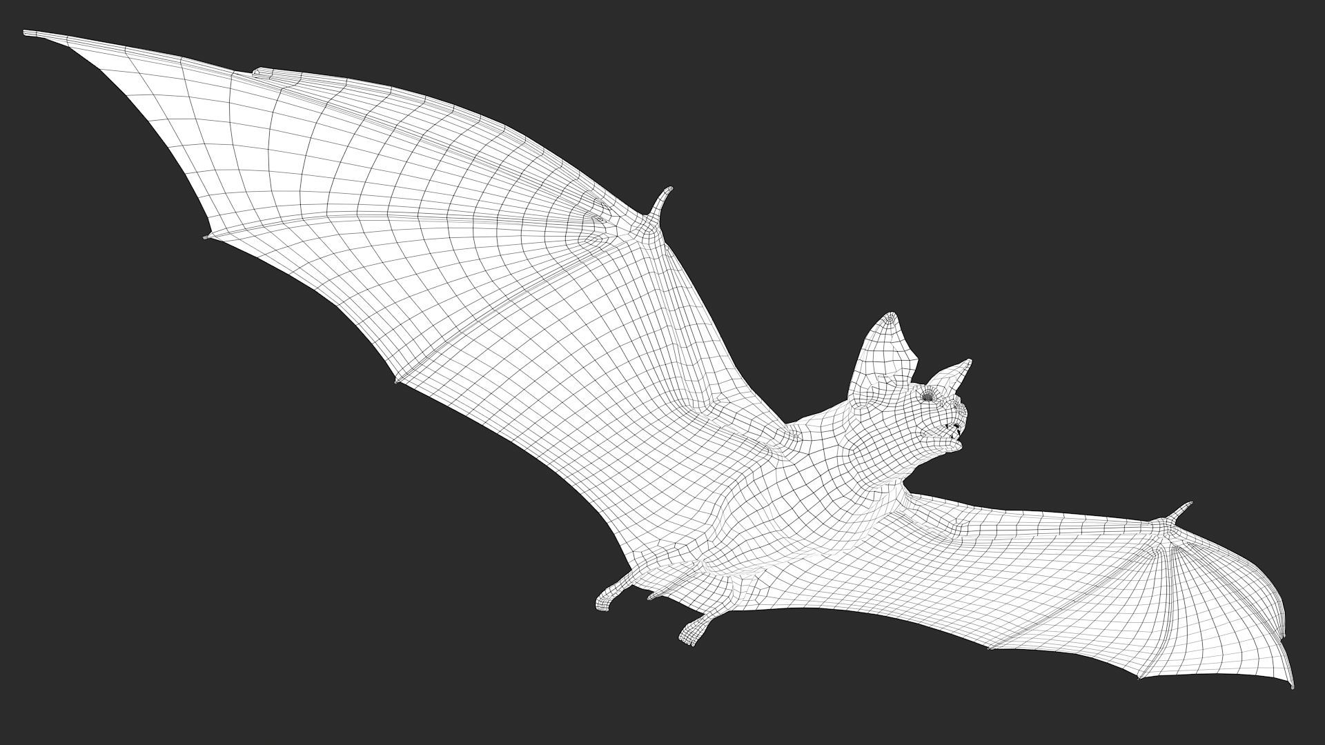 Wallpaper #r3KDMpMBX2lk1u3ogFrF212 Vampire Bat 3D Model 89 Fbx Obj Ztl Ma Free3d