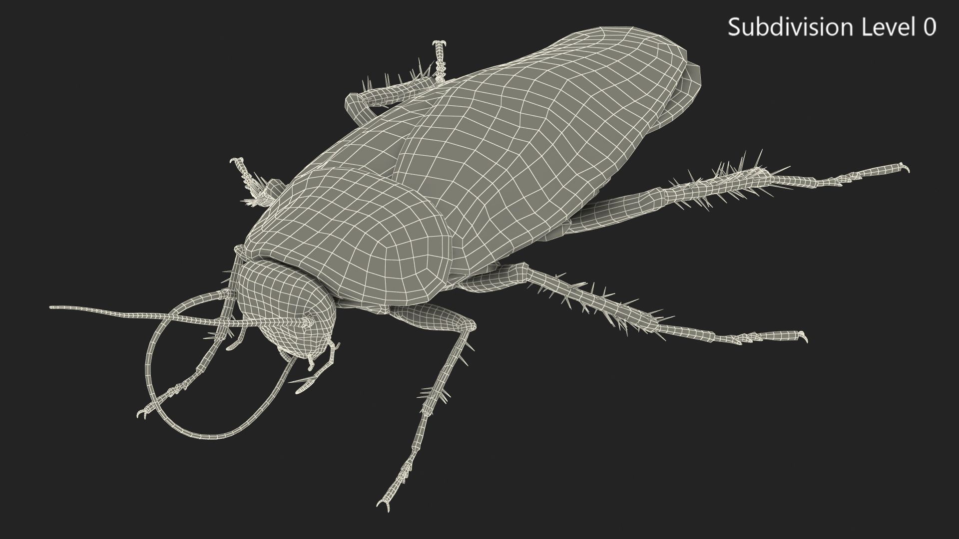 Wallpaper #SWdXCpMBSpphPi3-q9Qk184 Animated Cockroach Cleans Mustache Rigged for Maya 3D Model 149 Ma