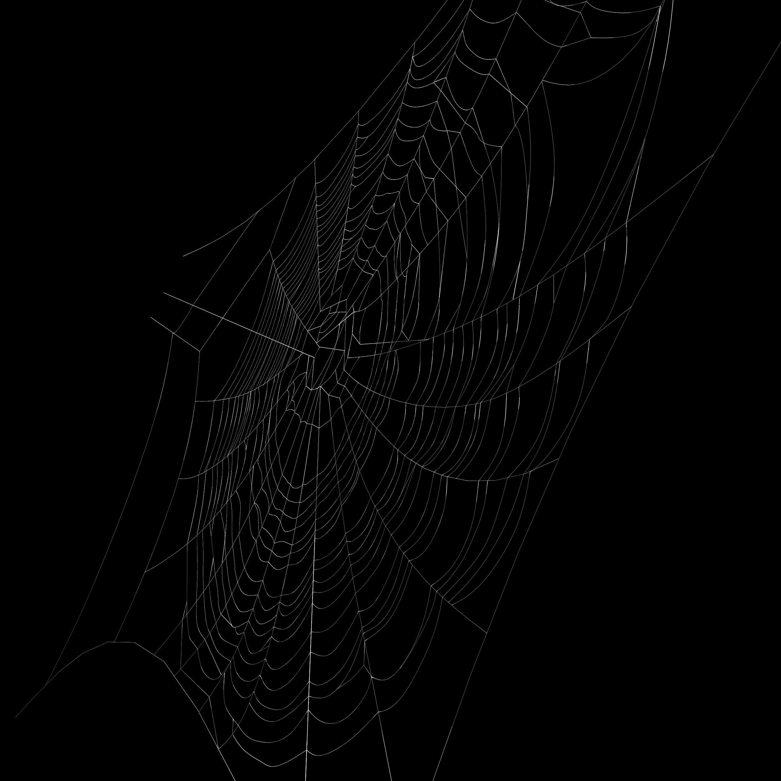 Wallpaper #xhmUEo8BtGB6xQ78j2OD23 Spider Web 3D Model 29 3ds Fbx Obj Max Free3d