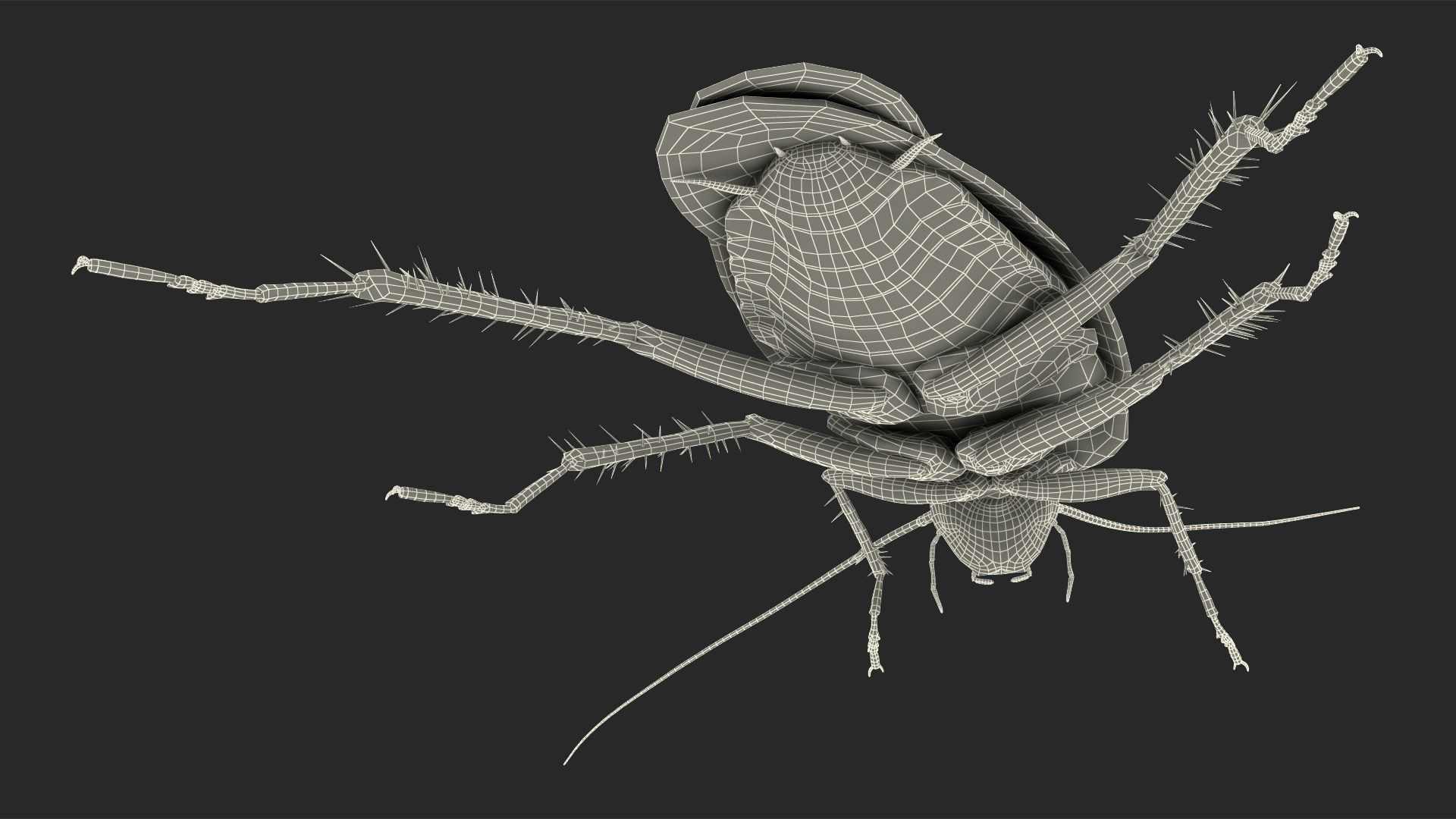 Wallpaper #SWdXCpMBSpphPi3-q9Qk186 Animated Cockroach Spinning Rigged for Maya 3D Model 149 Ma Free3d