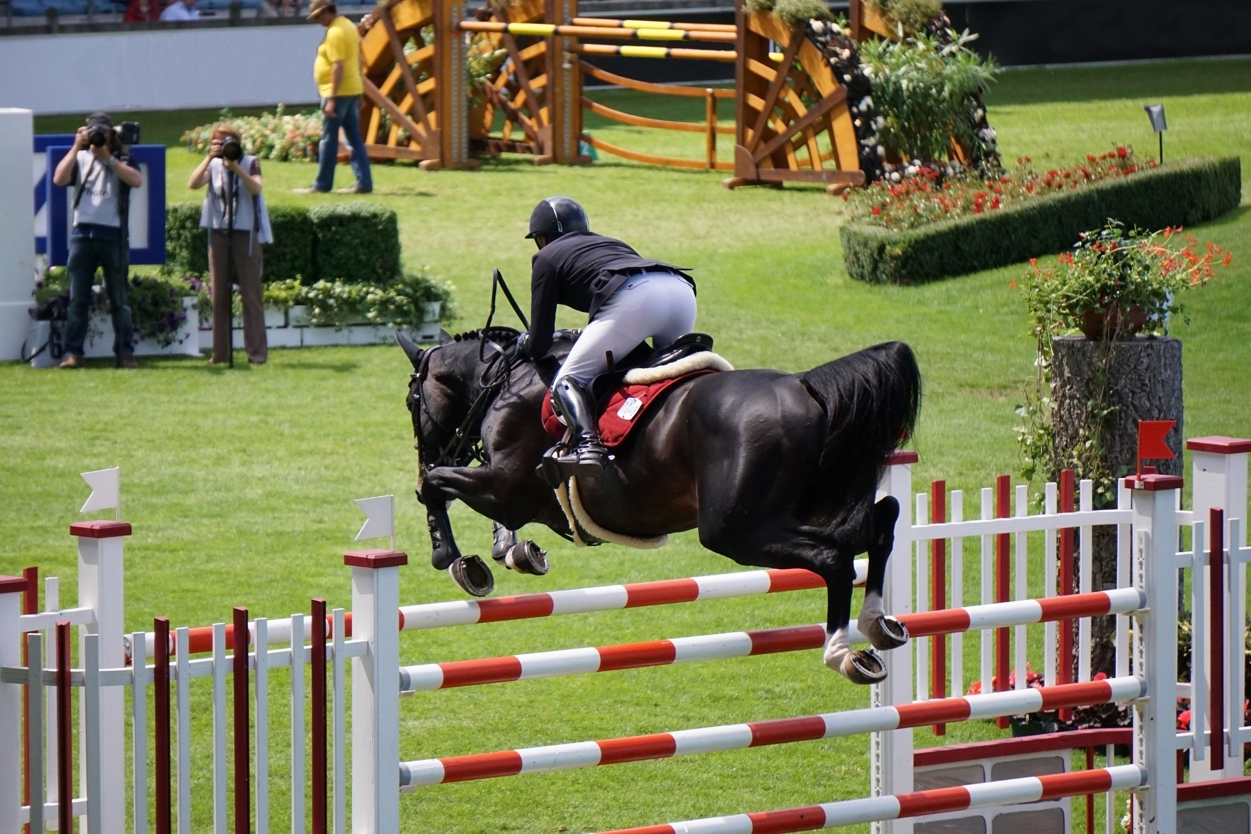 Wallpaper #Gx2aLJMBlOZrFDOk68sw184 Download Horse Jumping Royalty Free Stock Photo and Image