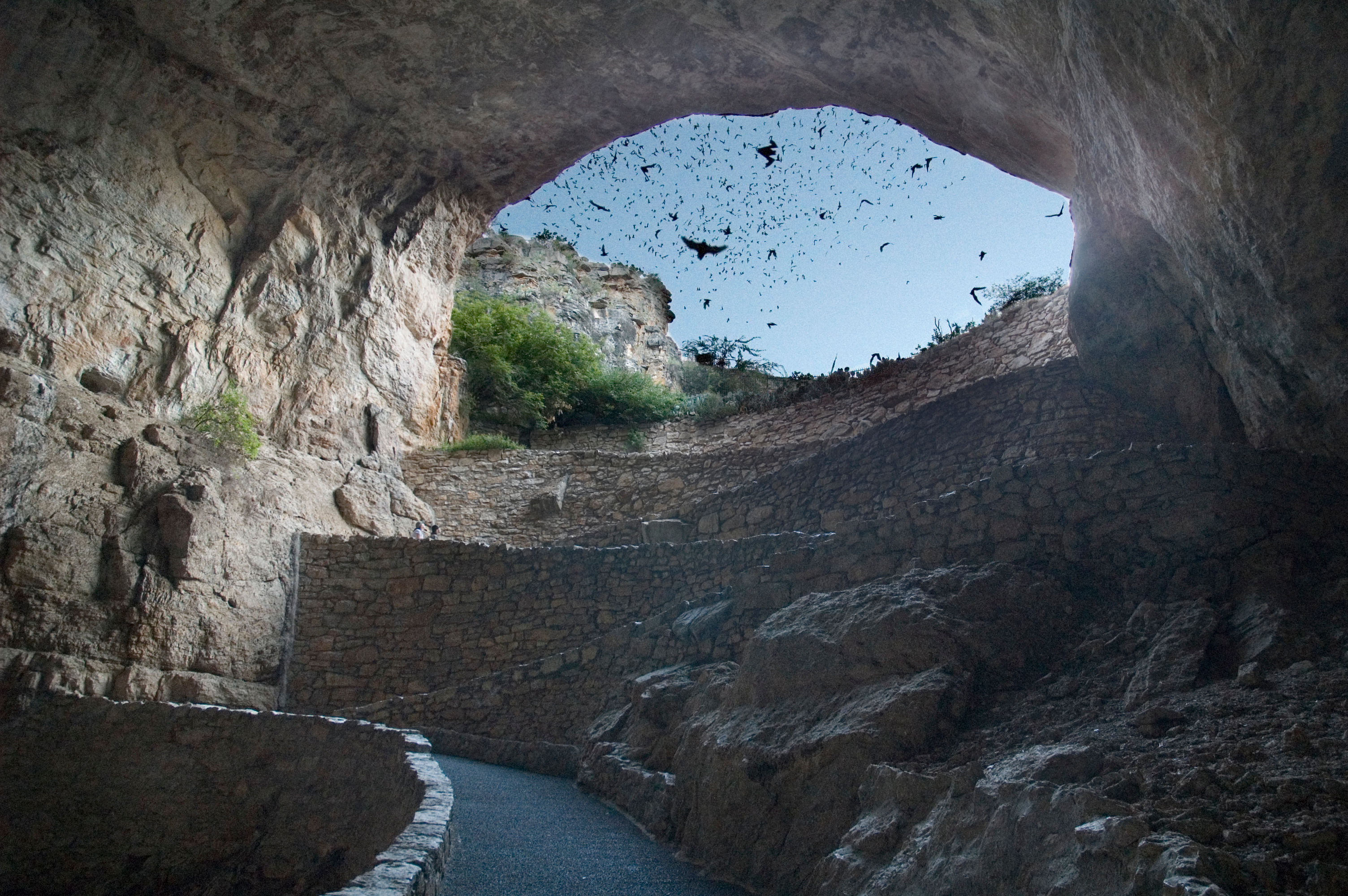 Wallpaper #ZRkzO48BtGB6xQ78Na8u25 Caves Where Bats Live